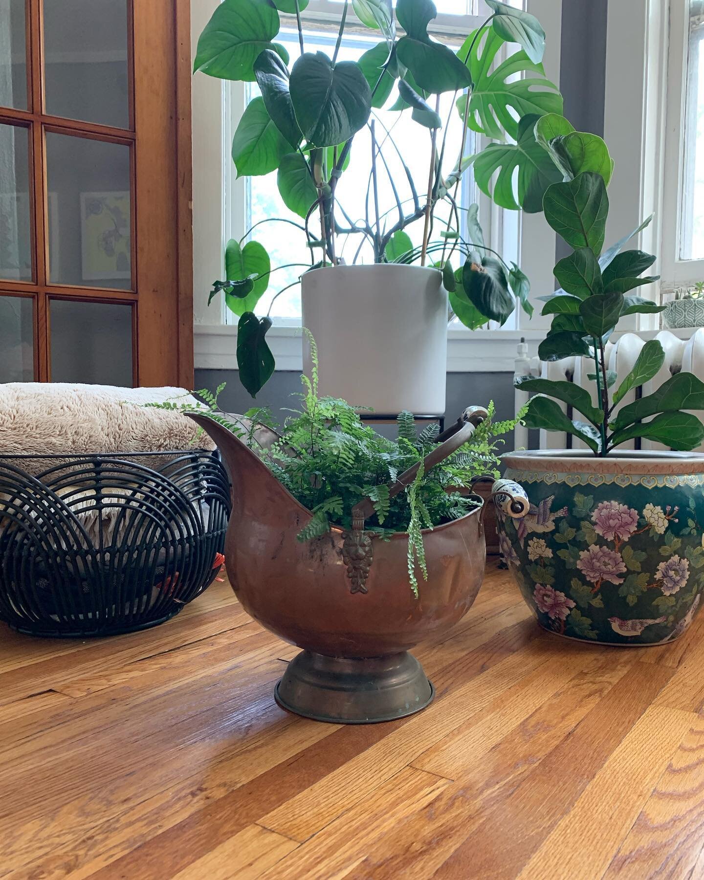 Recently my weekends have been filled with antique stores and vintage markets. I&rsquo;ve been on the hunt for a copper scuttle bucket for quite some time and found one last week at the Kane County Flea Market. Typically used for ashes and hot coals,