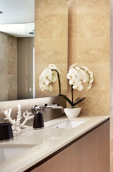 Bathroom 2 Basin zoomed.jpg