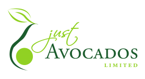 just-avocados.png