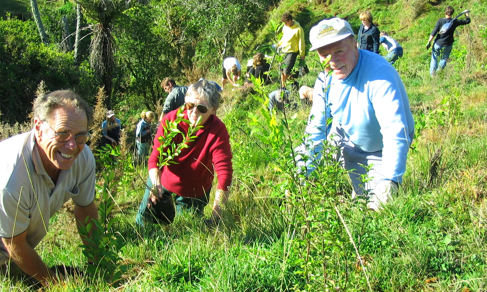 Treeplanting5.JPG