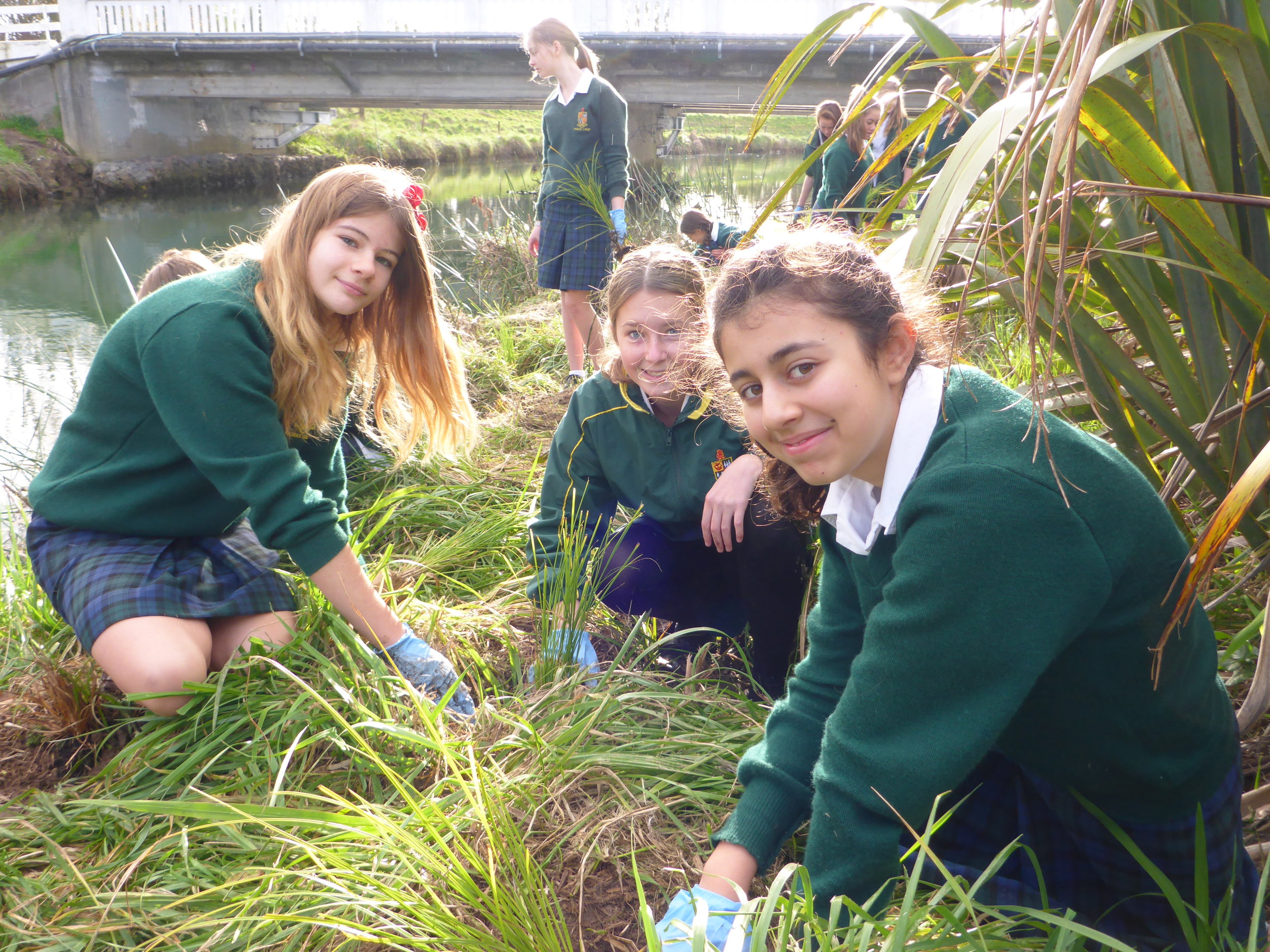 Inanga habitat 9 Bes.JPG