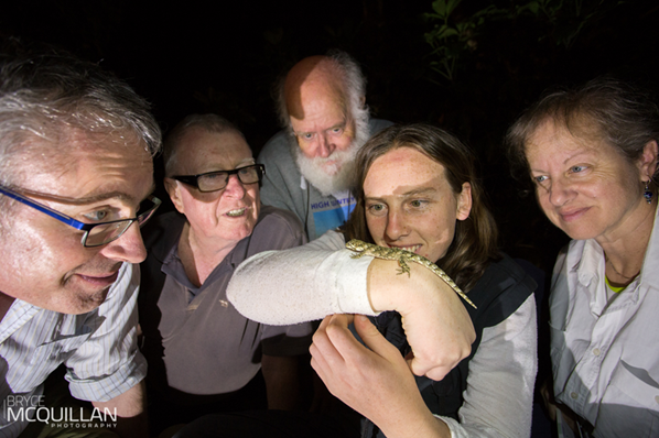 Night walks to spot nocturnal wildlife