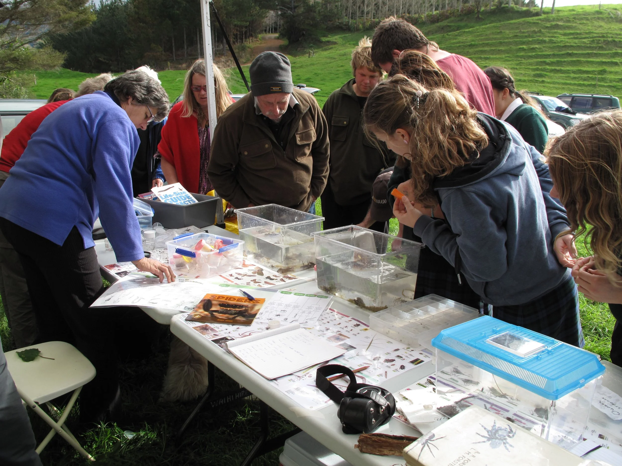 Mini ‘Bioblitzes’ in town and/or at rural properties