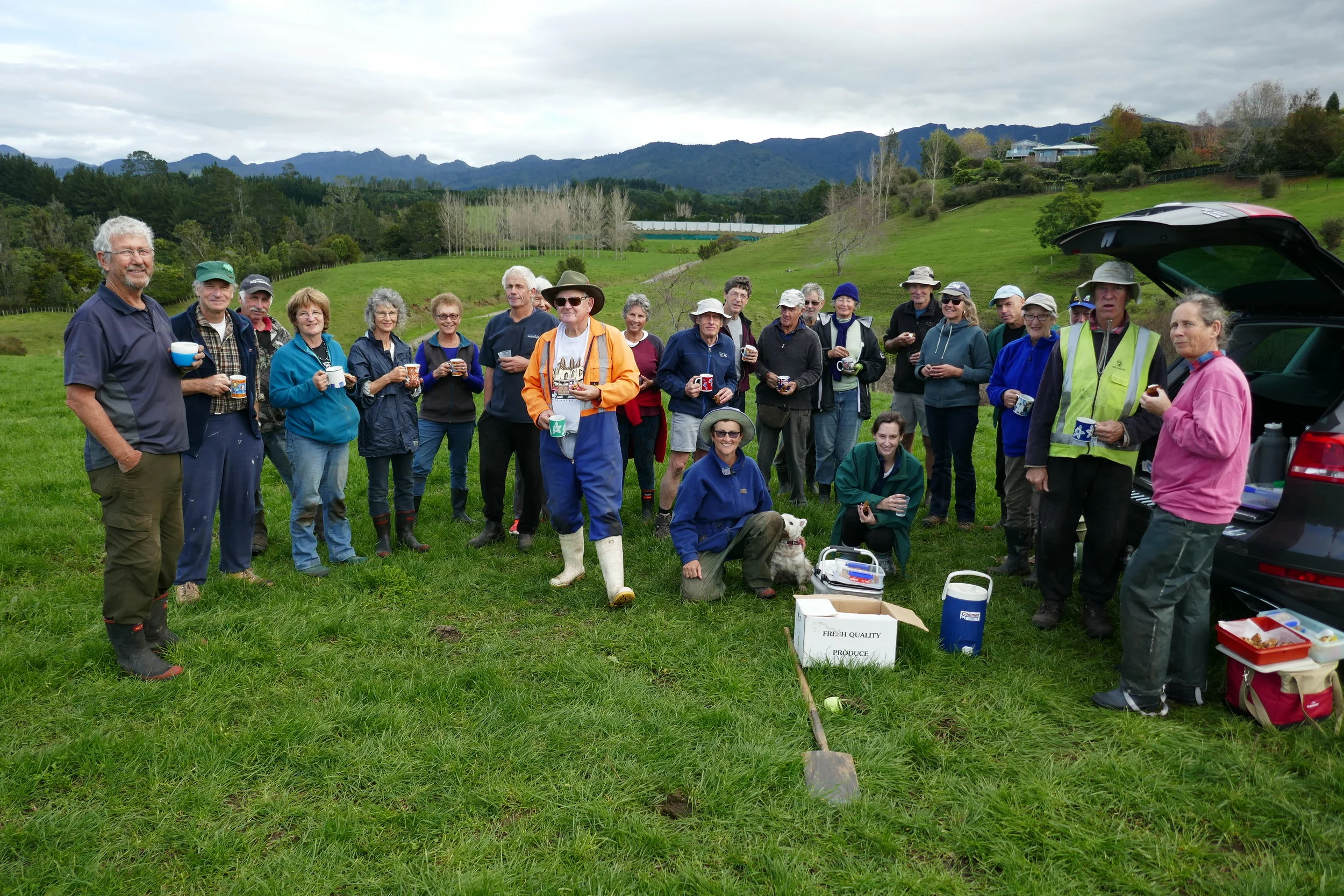 Planting with volunteers and a cuppa to follow