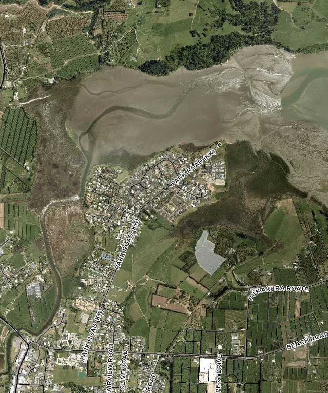 Estuary photo 2018 showing mangrove expansion