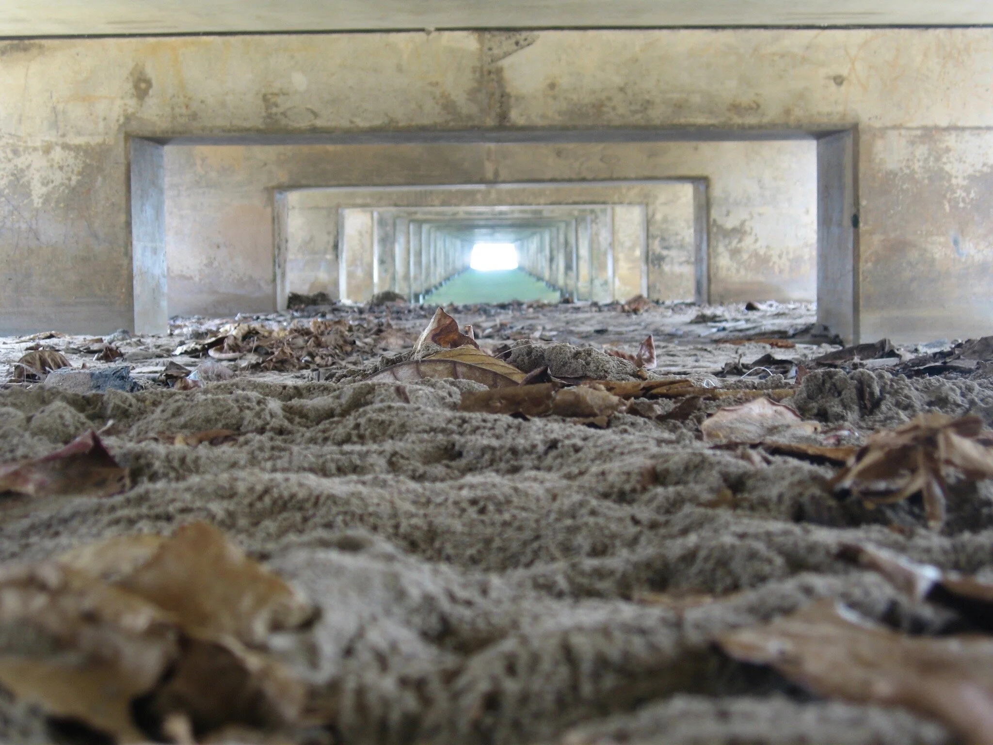 Connie Hunt Photography Underneath the Hanalei Pier (2005)