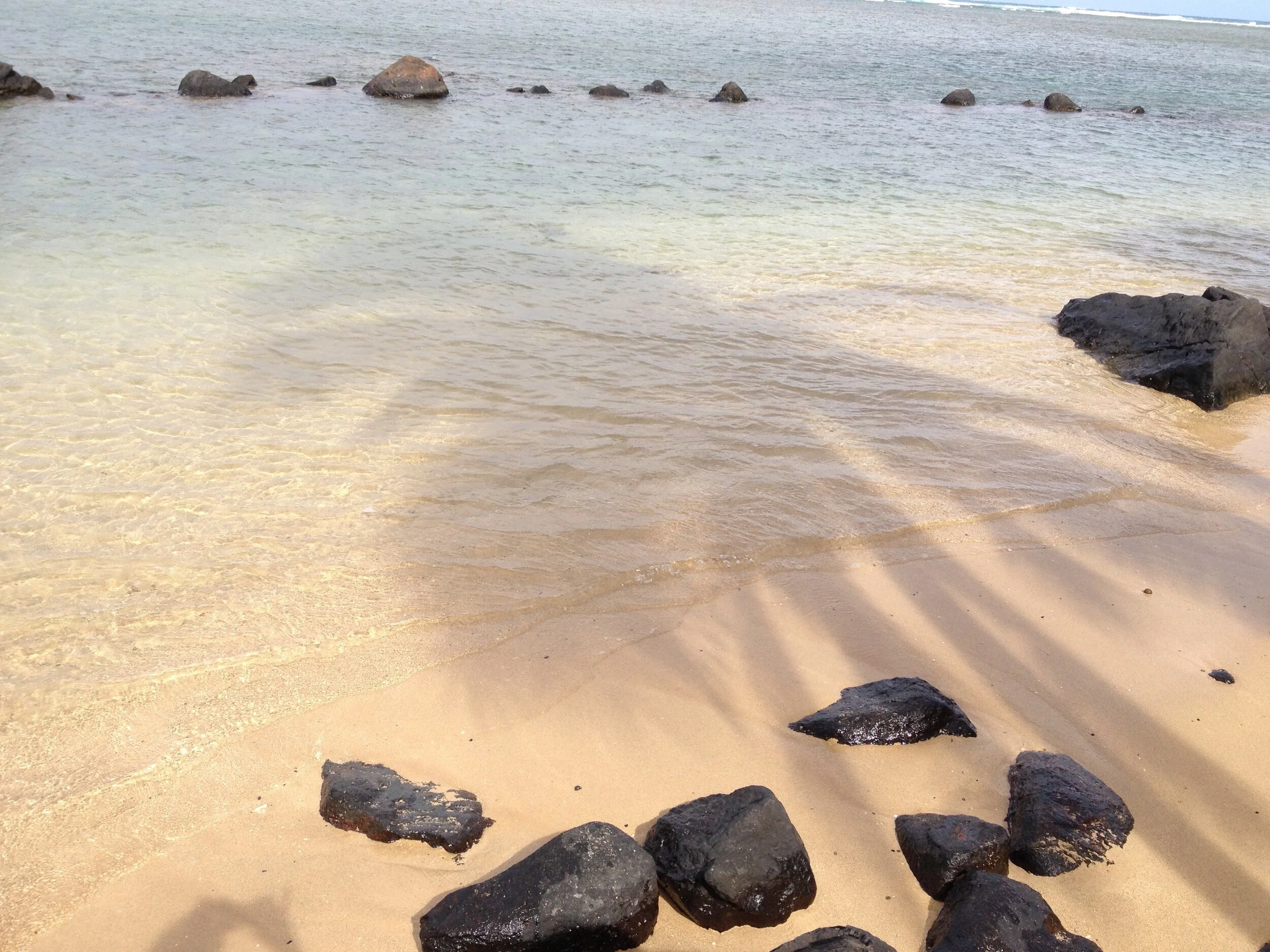 Anini Shadows by Connie Hunt