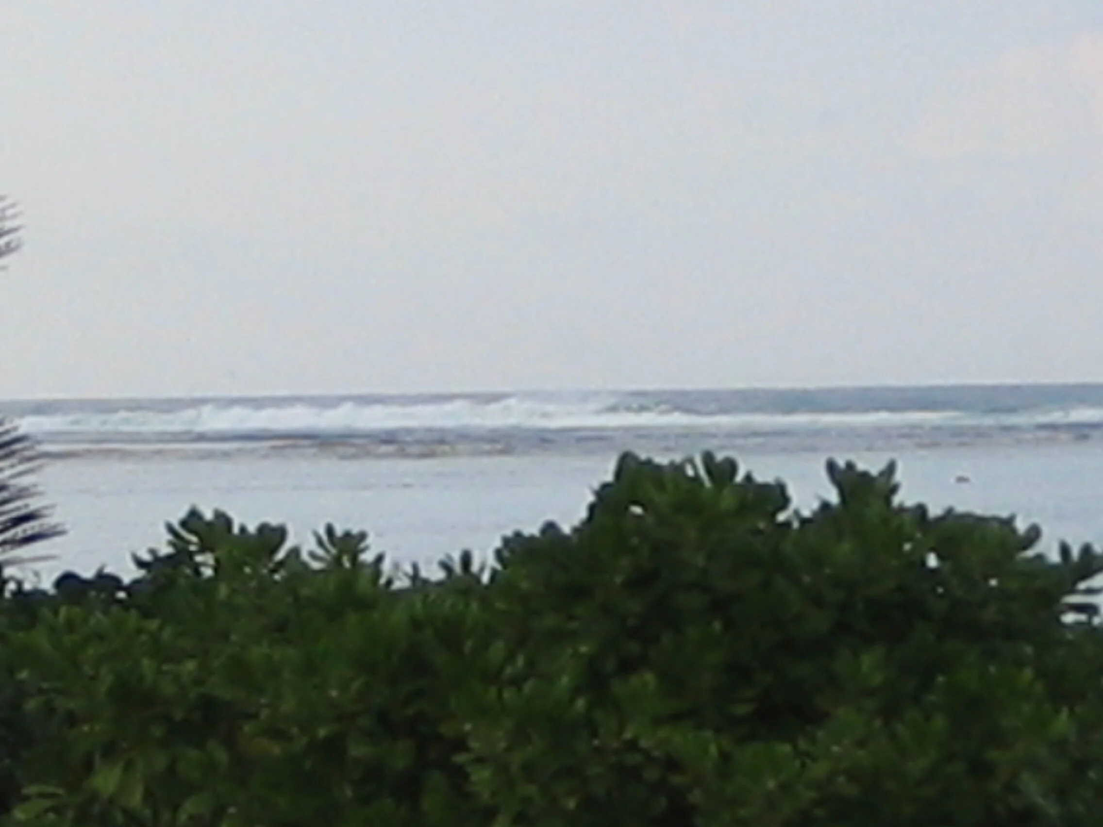 Connie Hunt Photography Anini View Naupaka (2004)