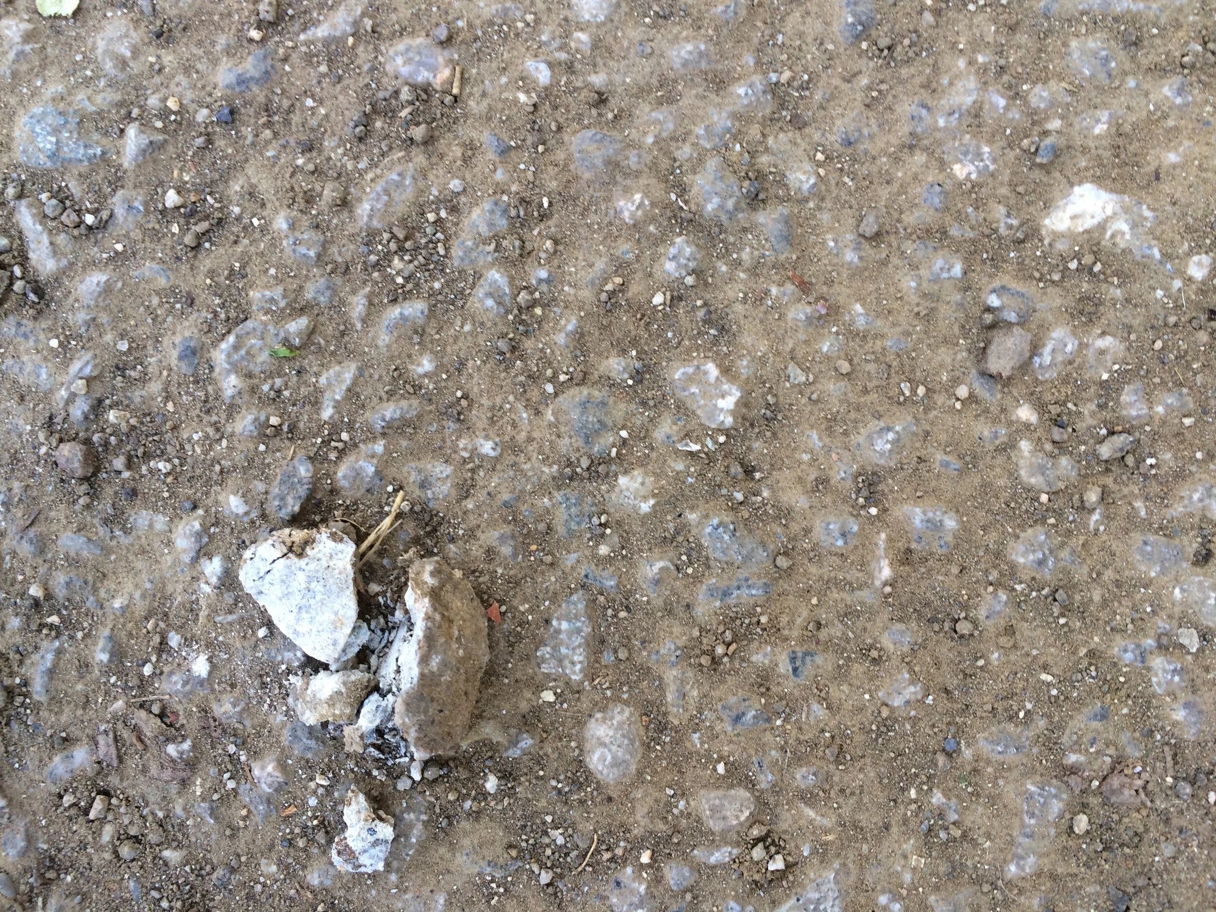 Connie Hunt Photography Love in Concrete