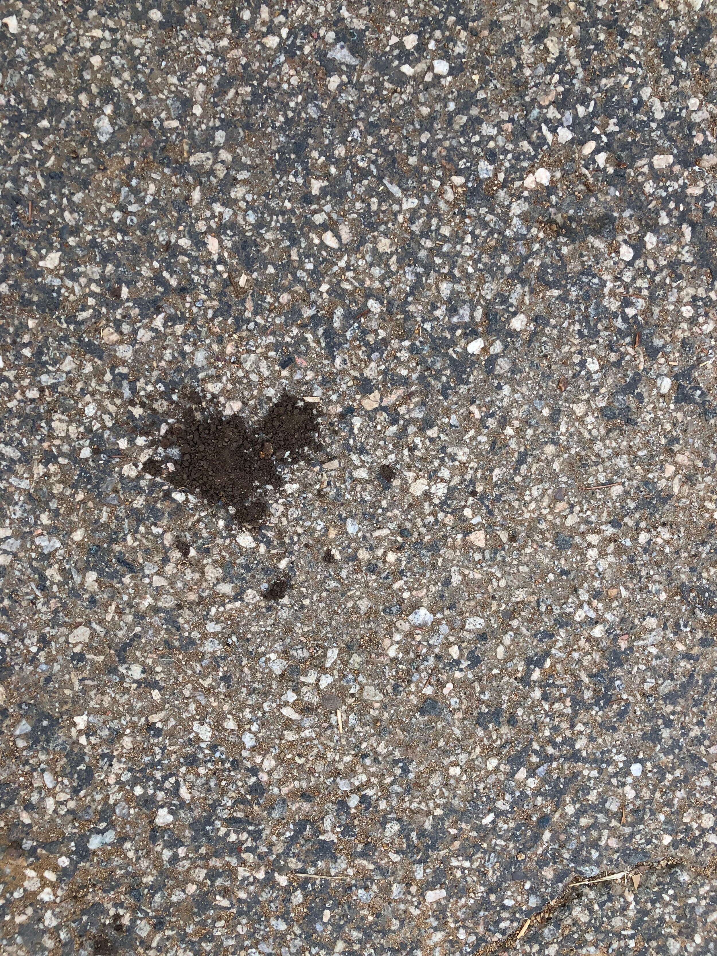 Connie Hunt Photography Love Stain