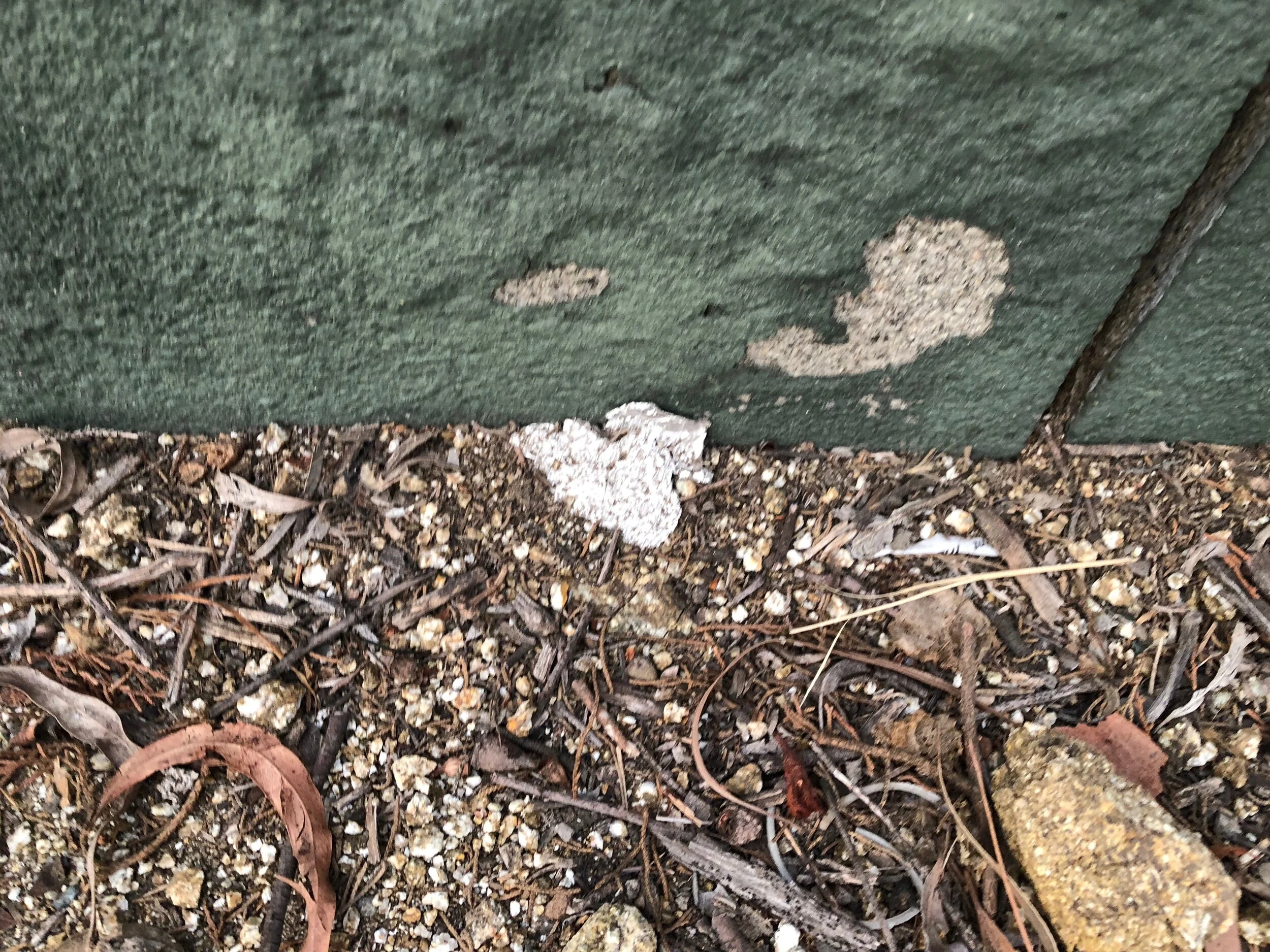 Connie Hunt Photography Love to the Wall