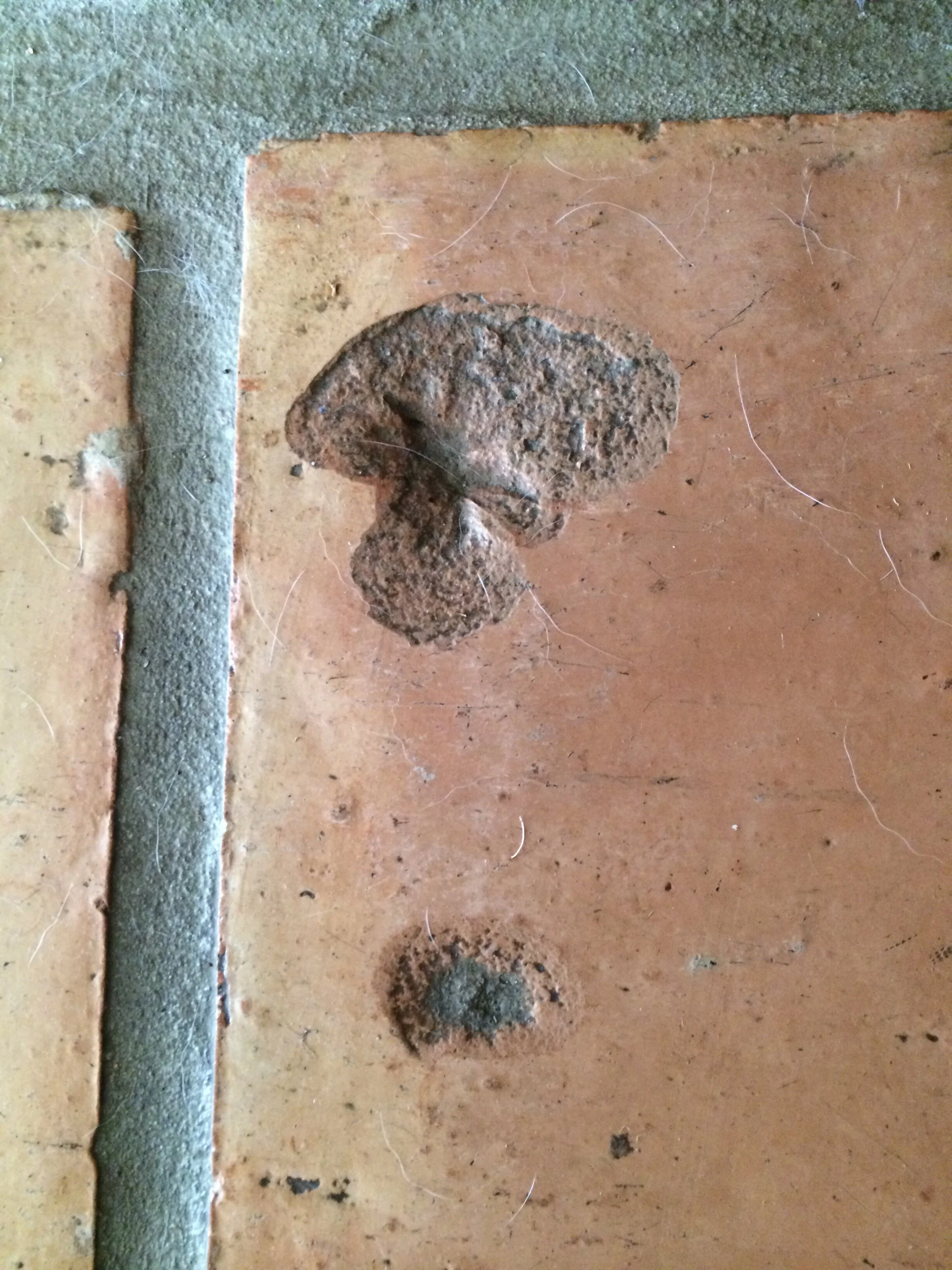  Connie Hunt Photography Love in Saltillo Tile