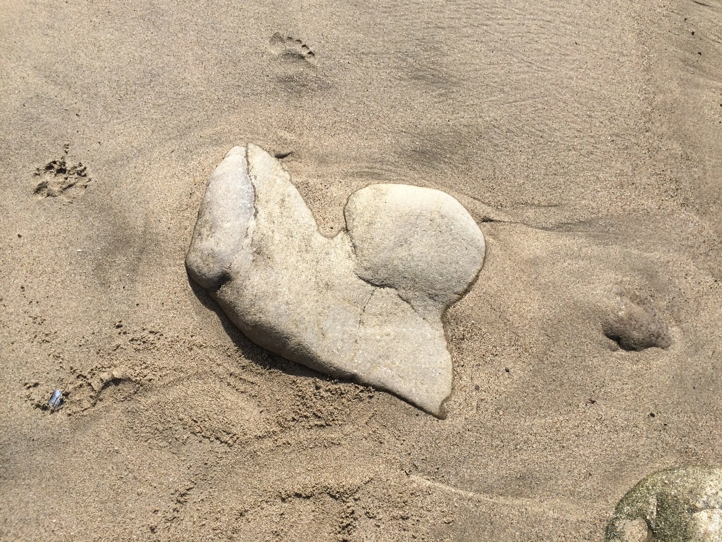 Connie Hunt Photography Love in Sand and Stone