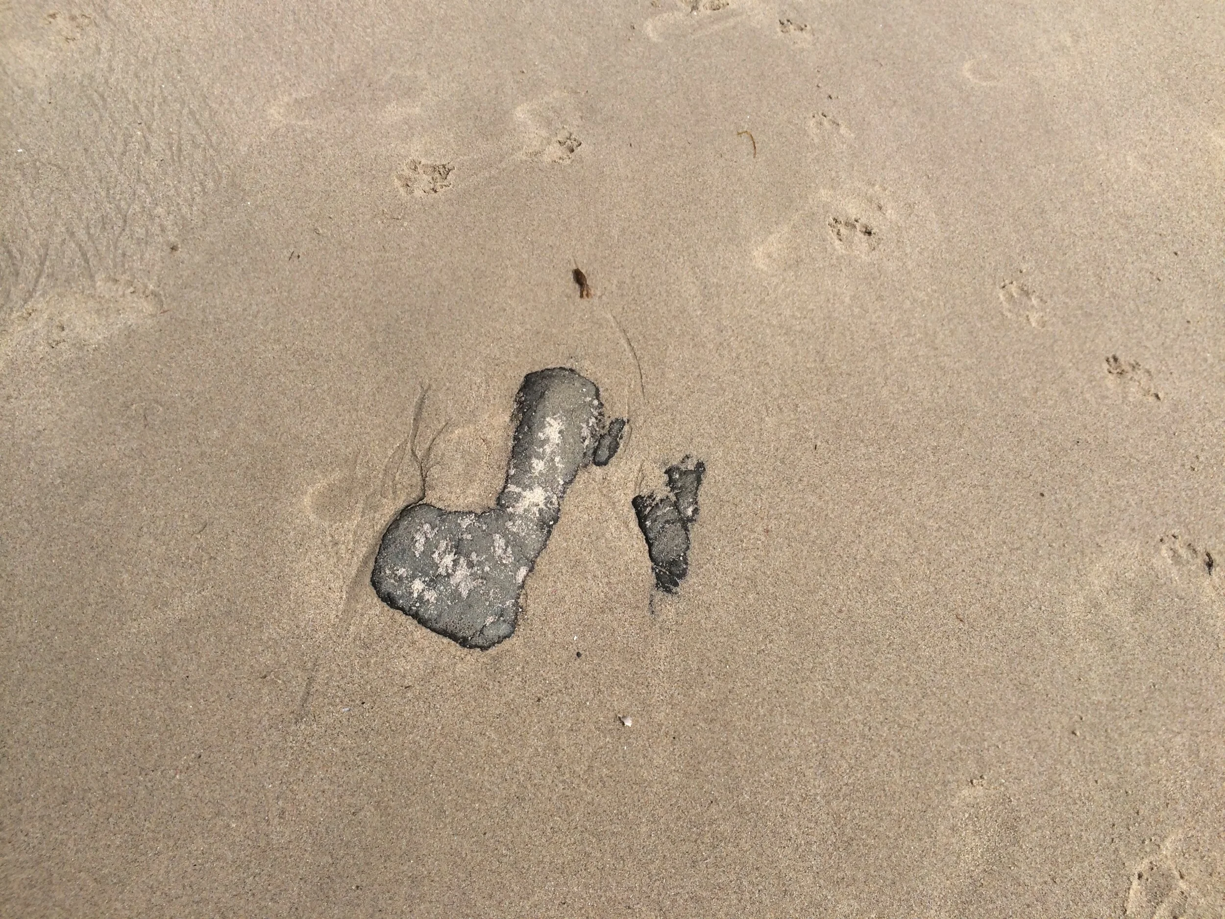 Connie Hunt Photography Love Twins in Sand
