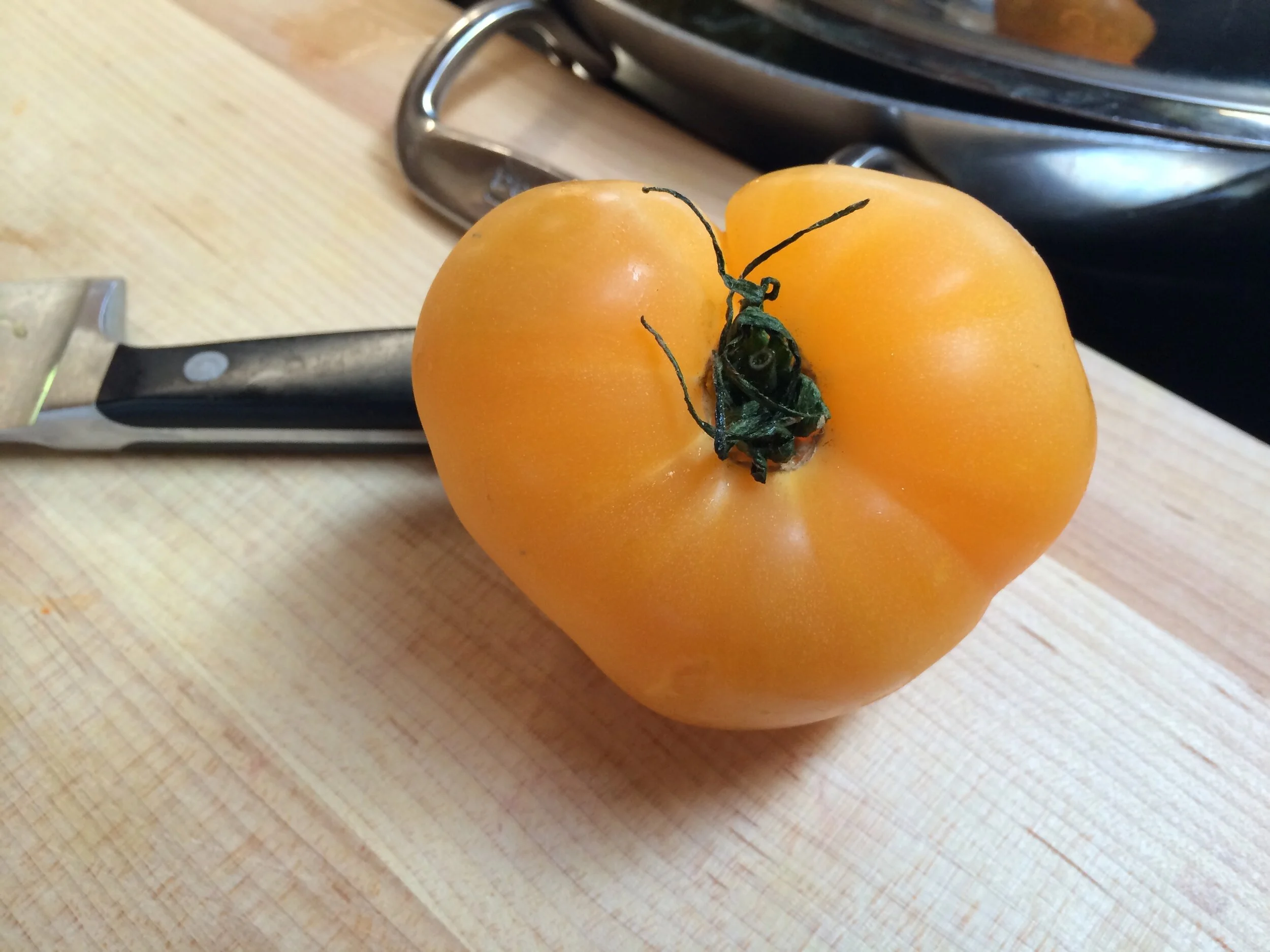 Connie Hunt Photography Love Yellow Tomato