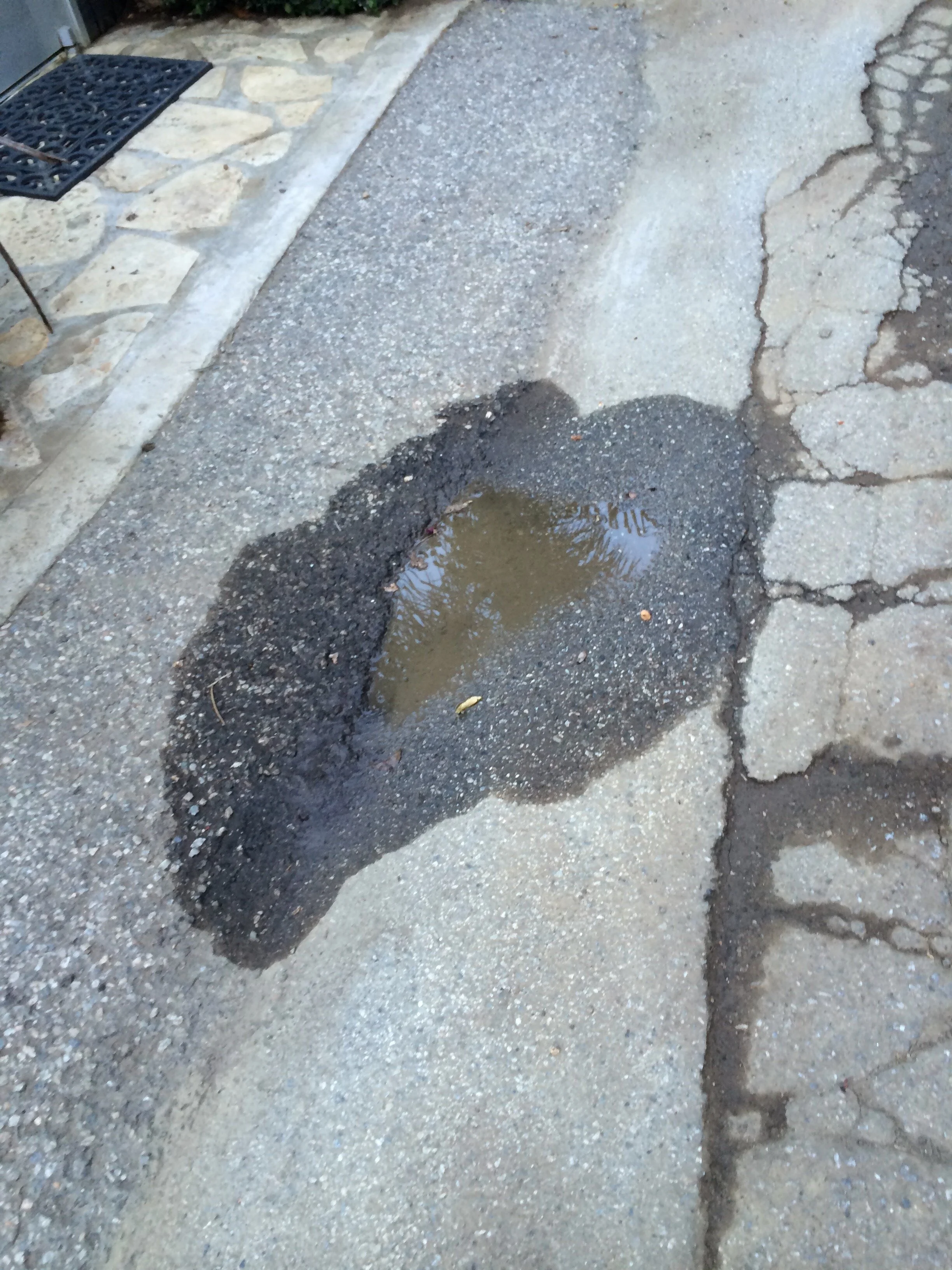 Connie Hunt Photography Love Puddle