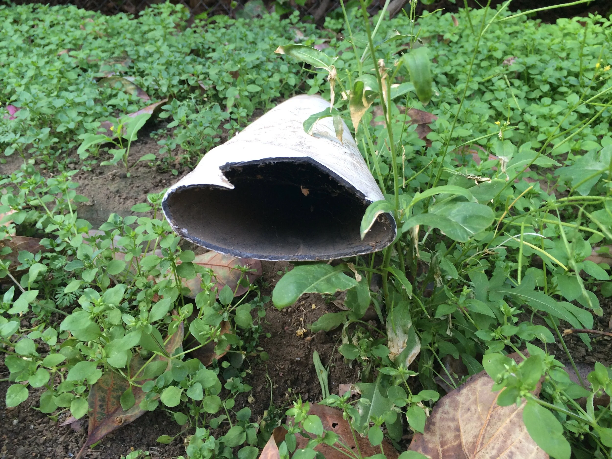 Connie Hunt Photography Love Drain