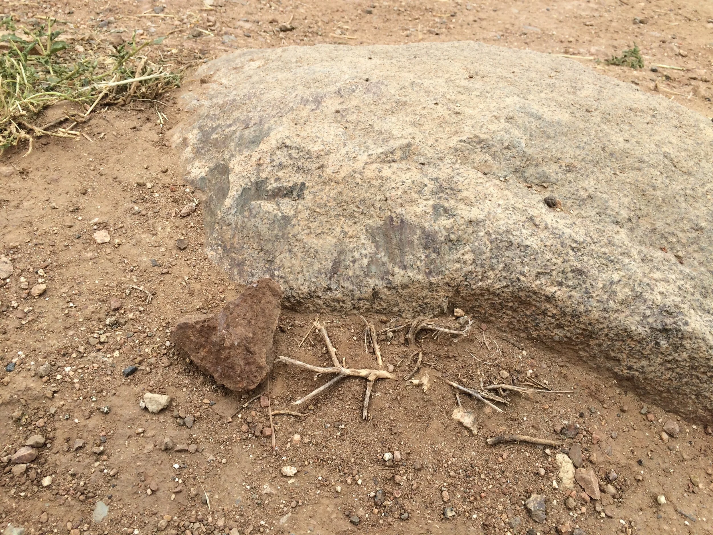  Connie Hunt Photography Love Rock Roots