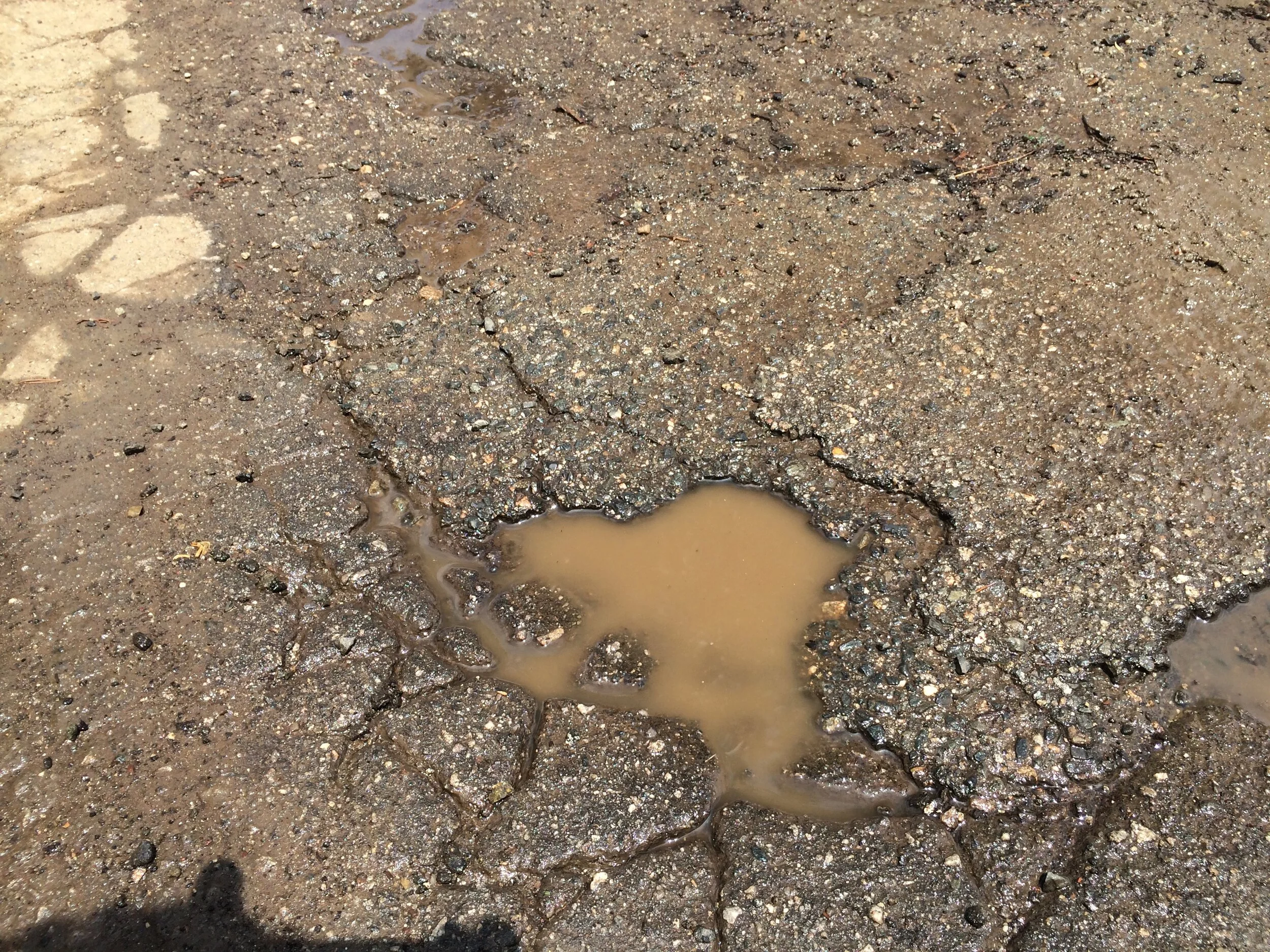 Connie Hunt Photography Love in a Pothole