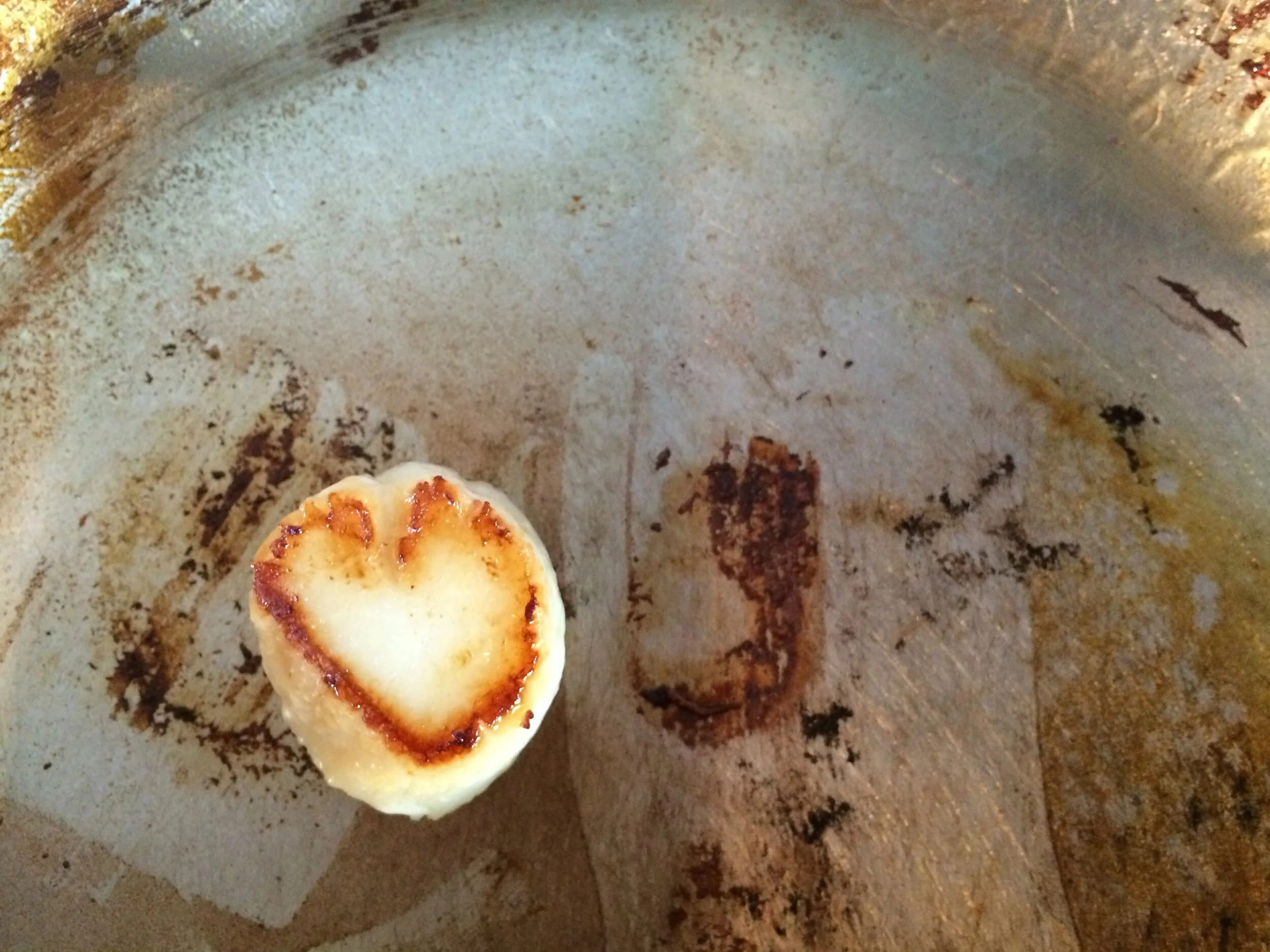Connie Hunt Photography Love Scallop