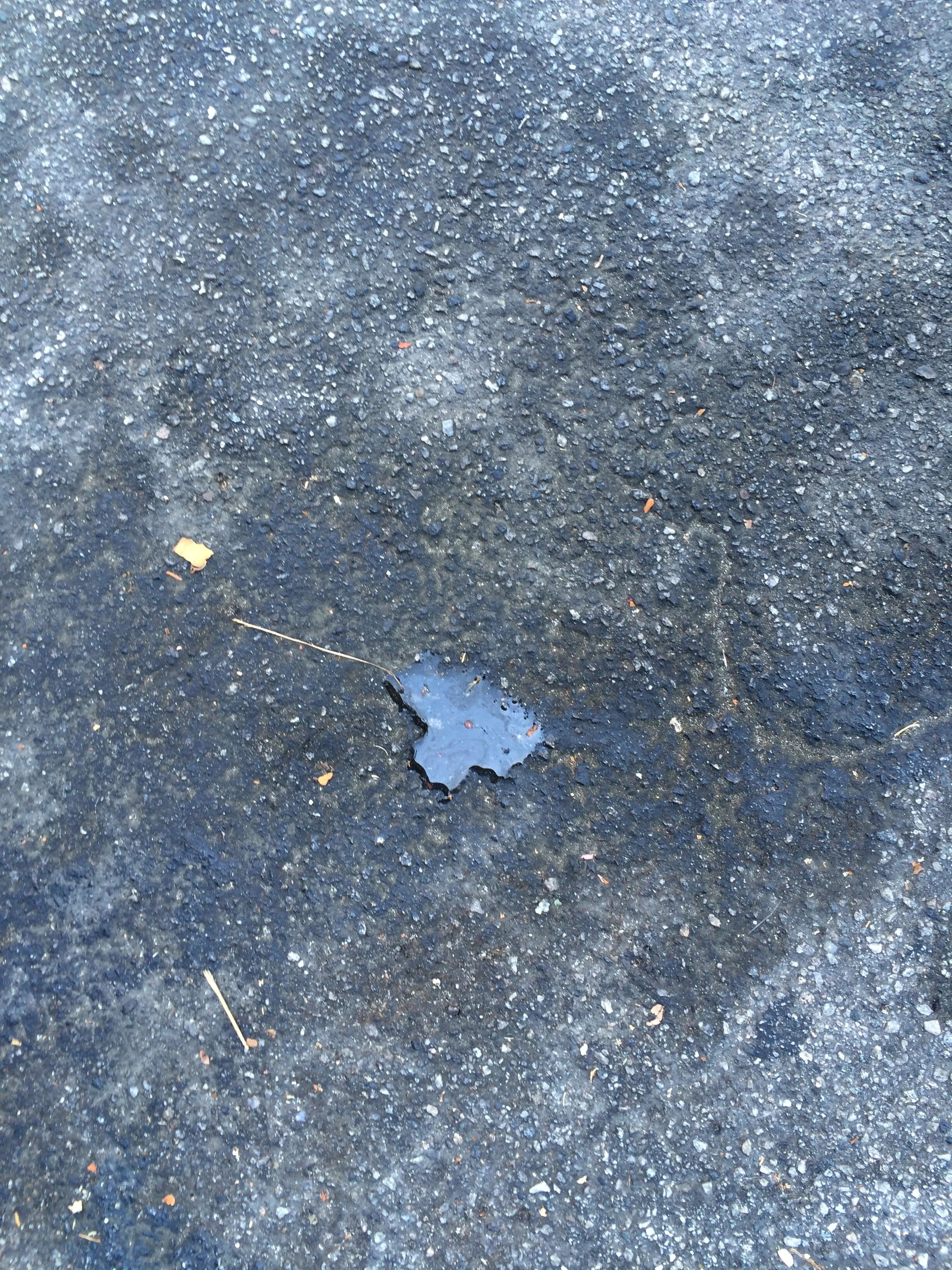 Connie Hunt Photography Love on Pavement