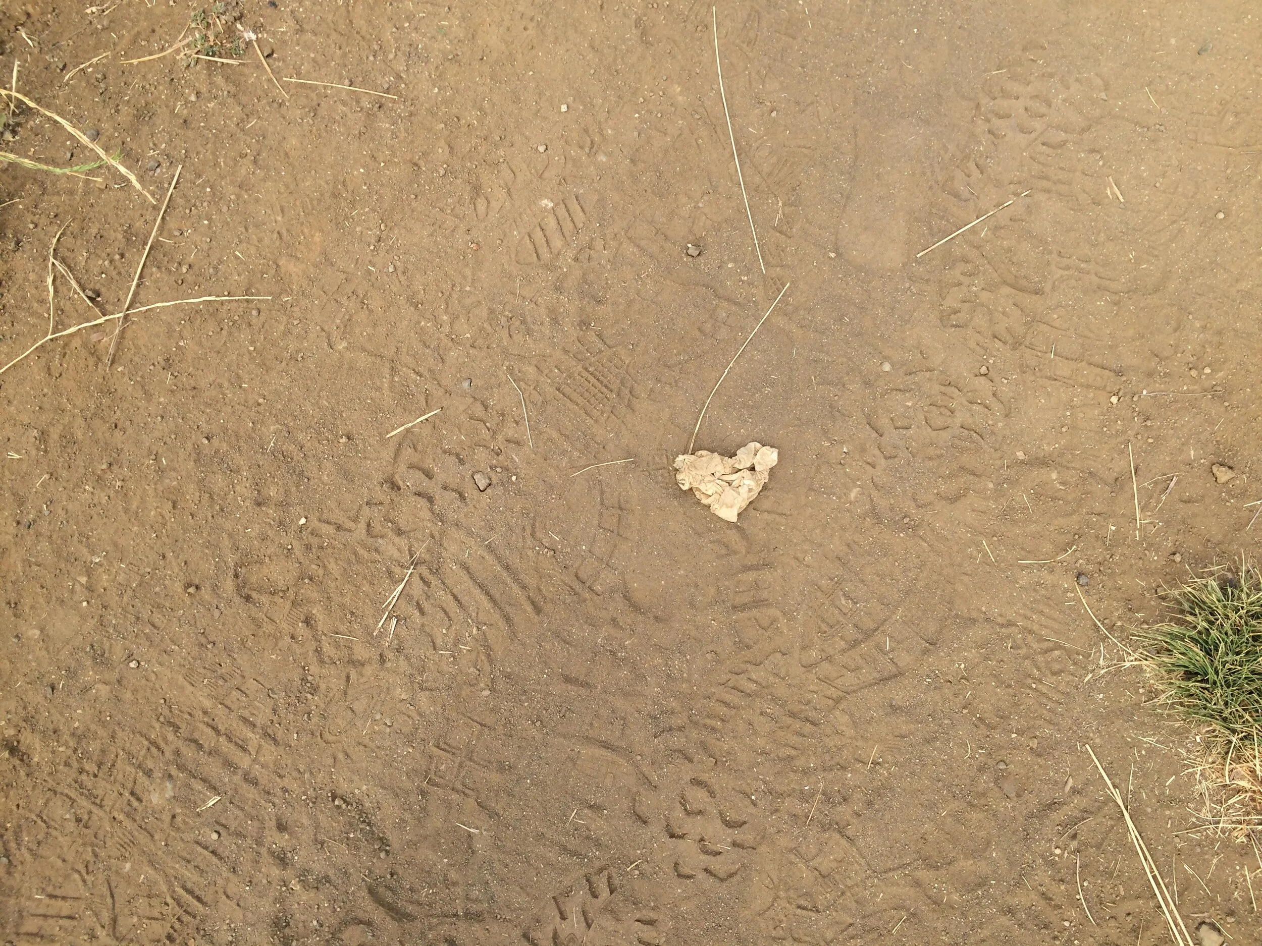 Connie Hunt Photography Love Path