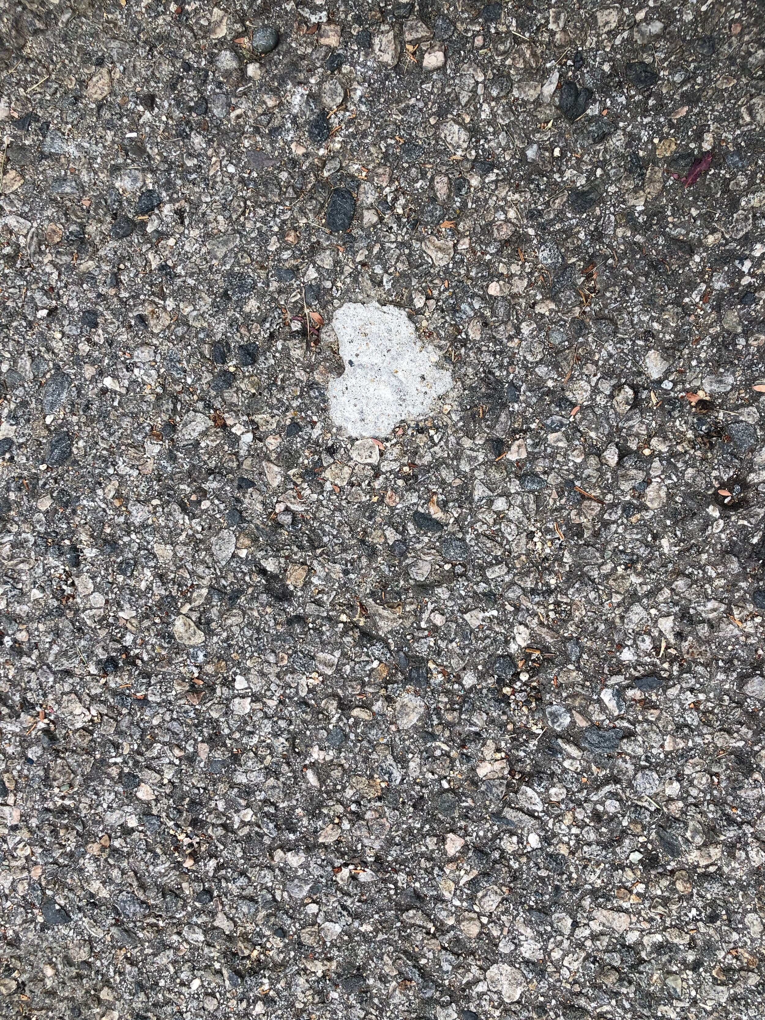 Connie Hunt Photography Love White Love