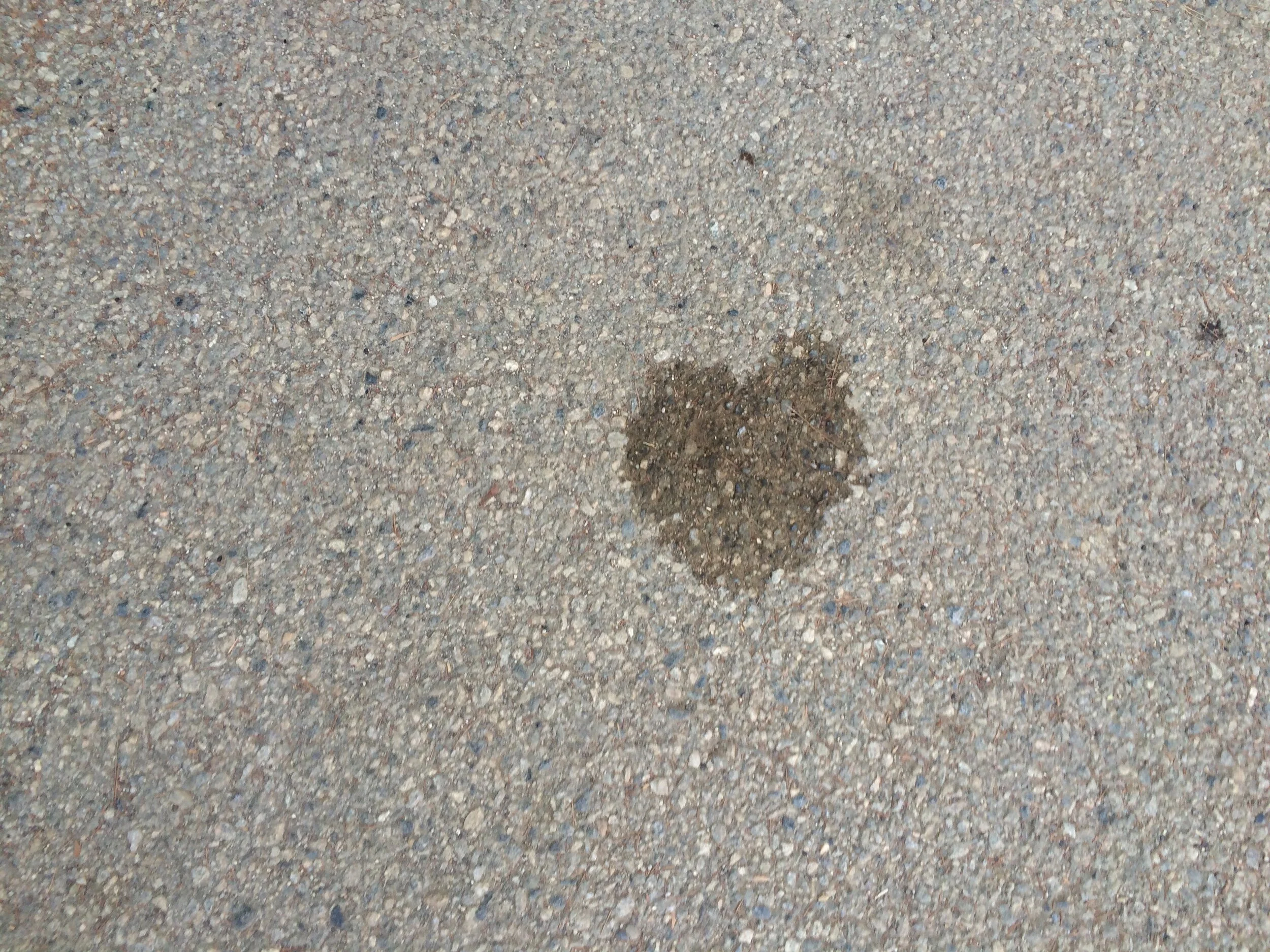 Connie Hunt Photography Love Stains All