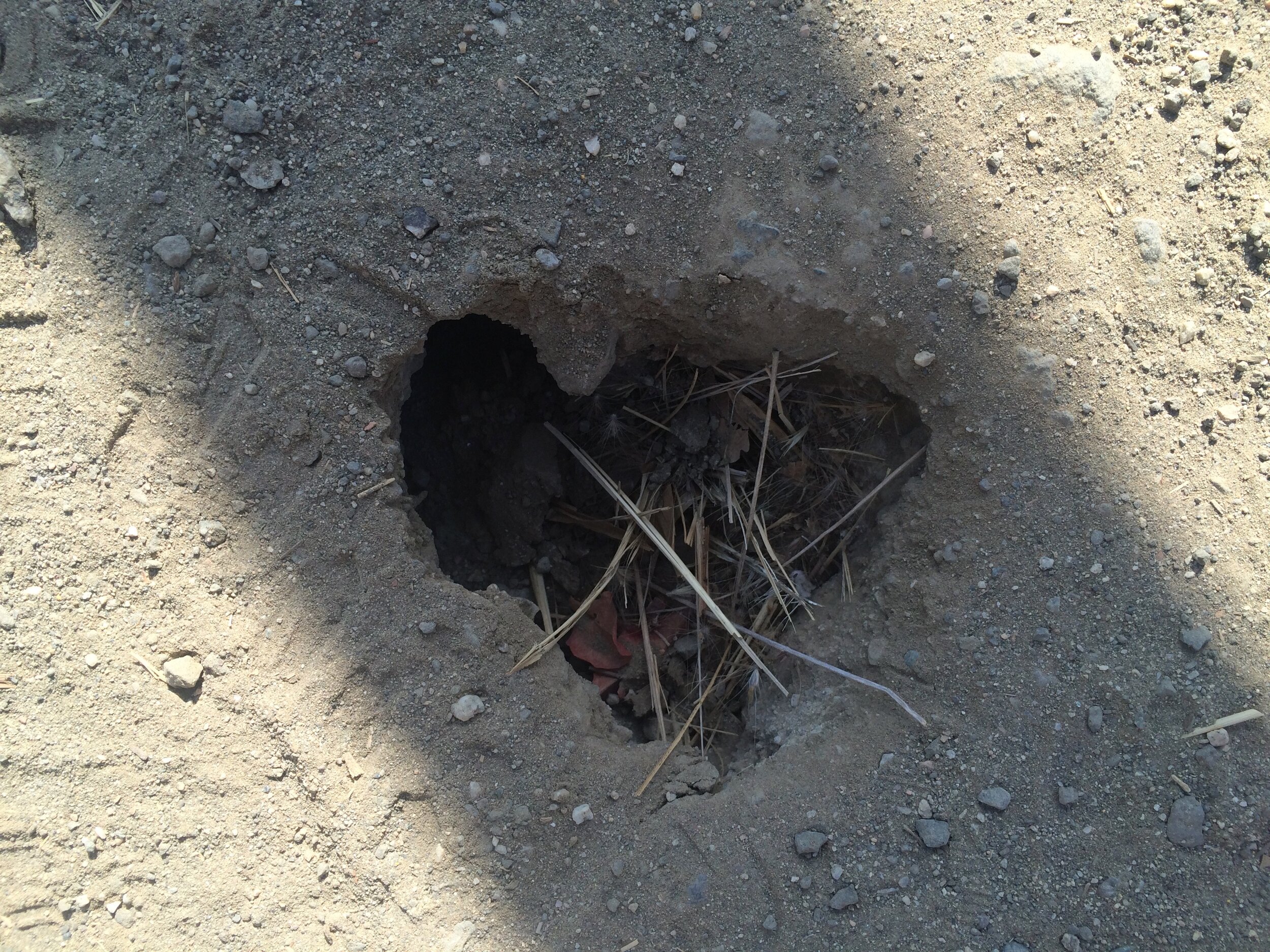 Connie Hunt Photography Love Hole