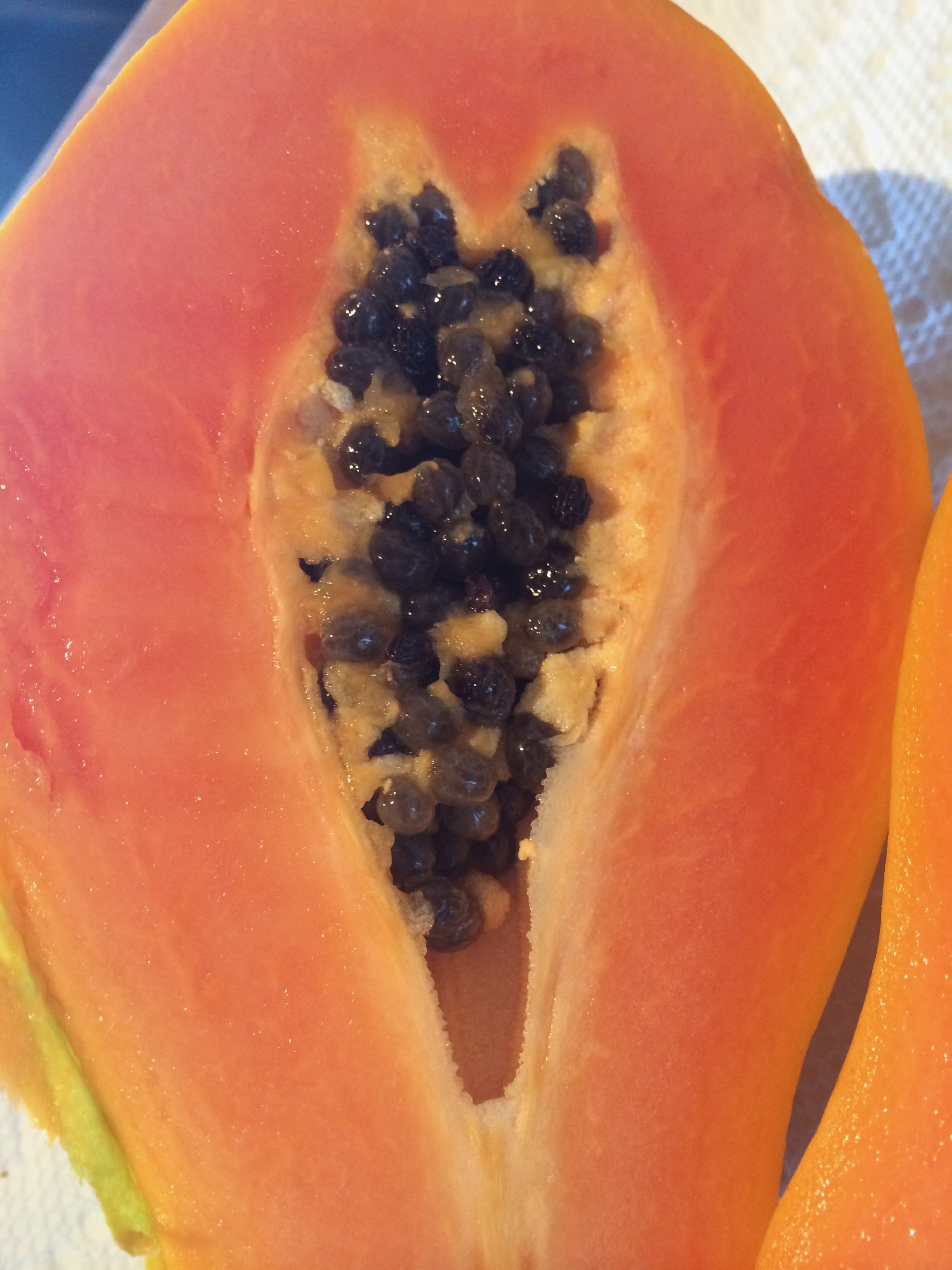 Connie Hunt Photography Love is Papaya