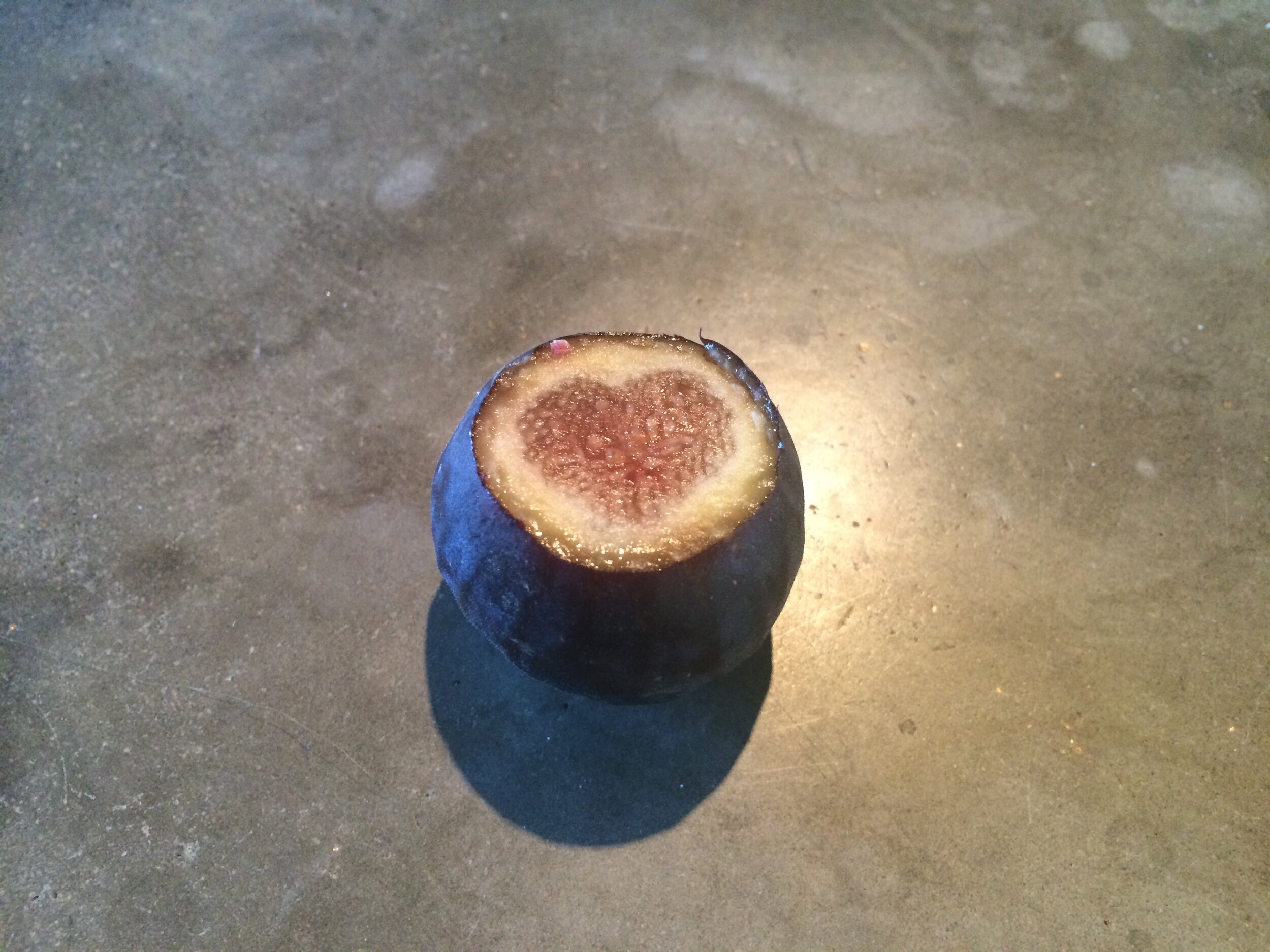Connie Hunt Photography Love Fig