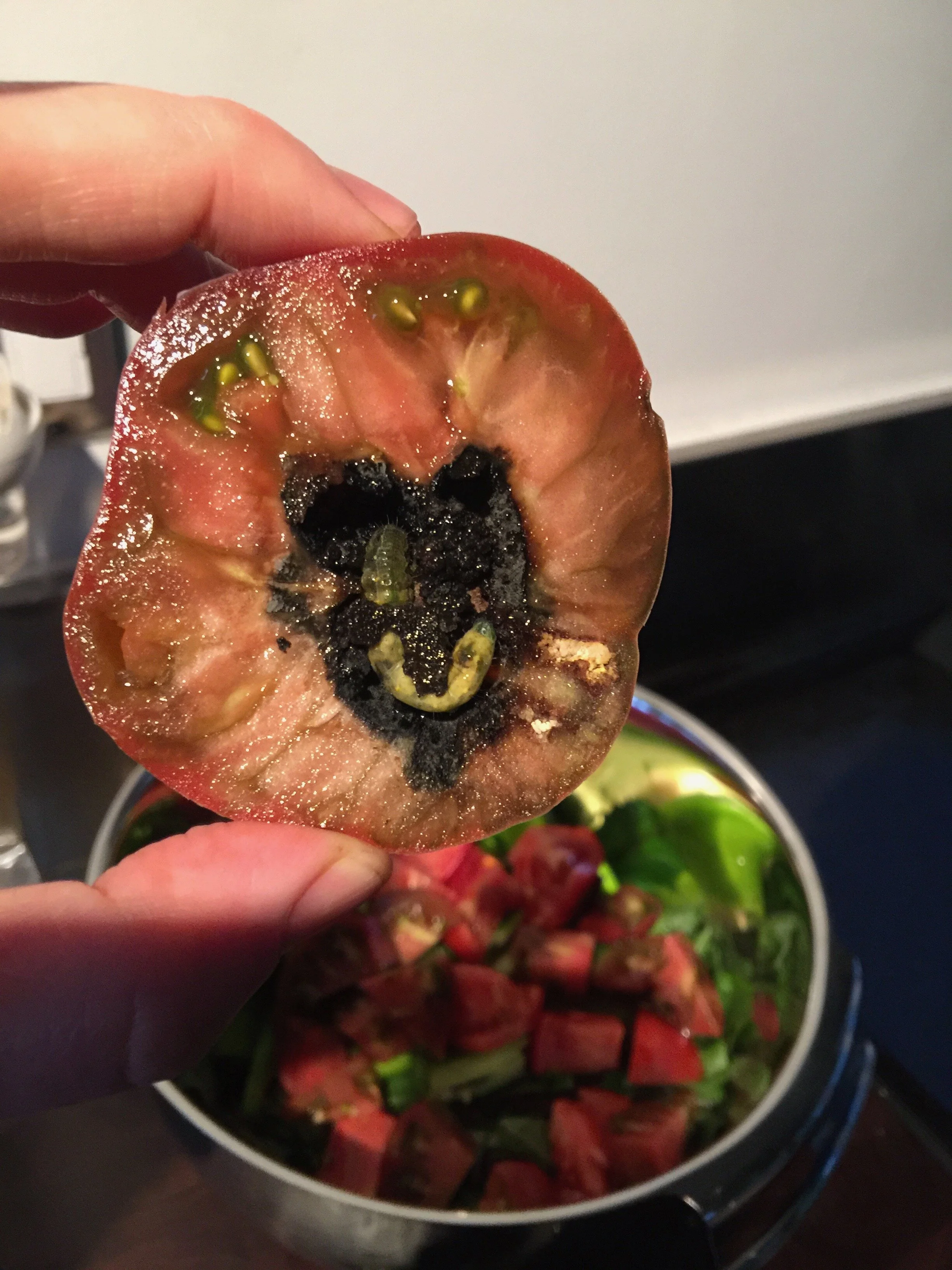 Connie Hunt Photography Love Me Rotten