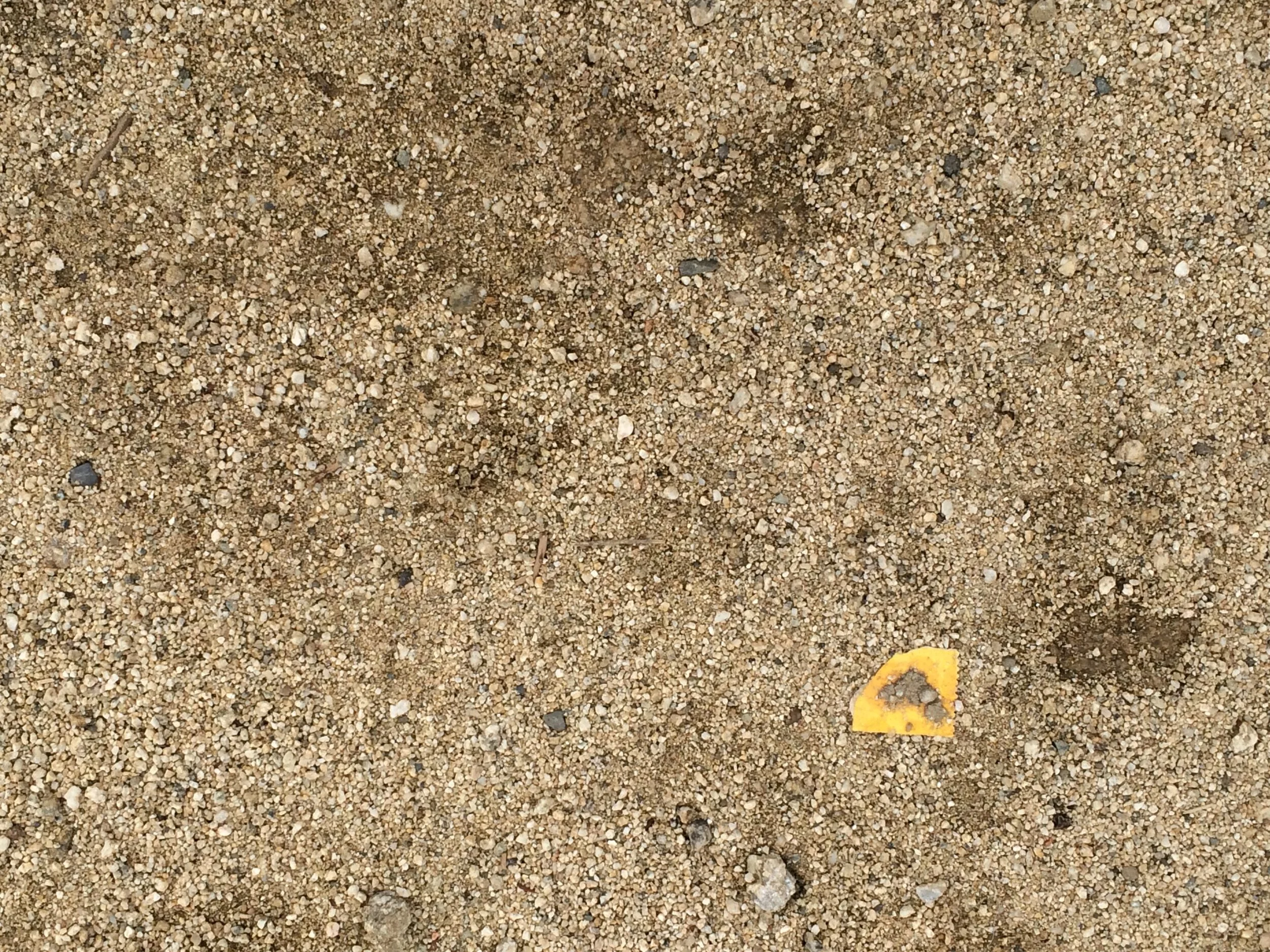 Connie Hunt Photography Love Cut