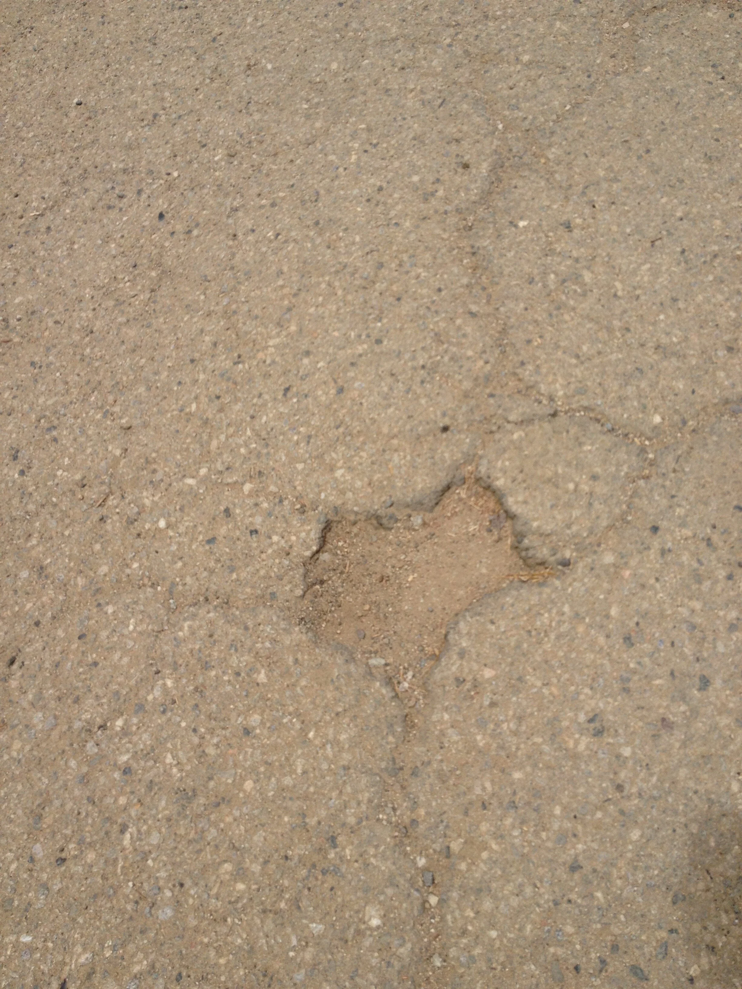 Connie Hunt Photography Love in the Cracks