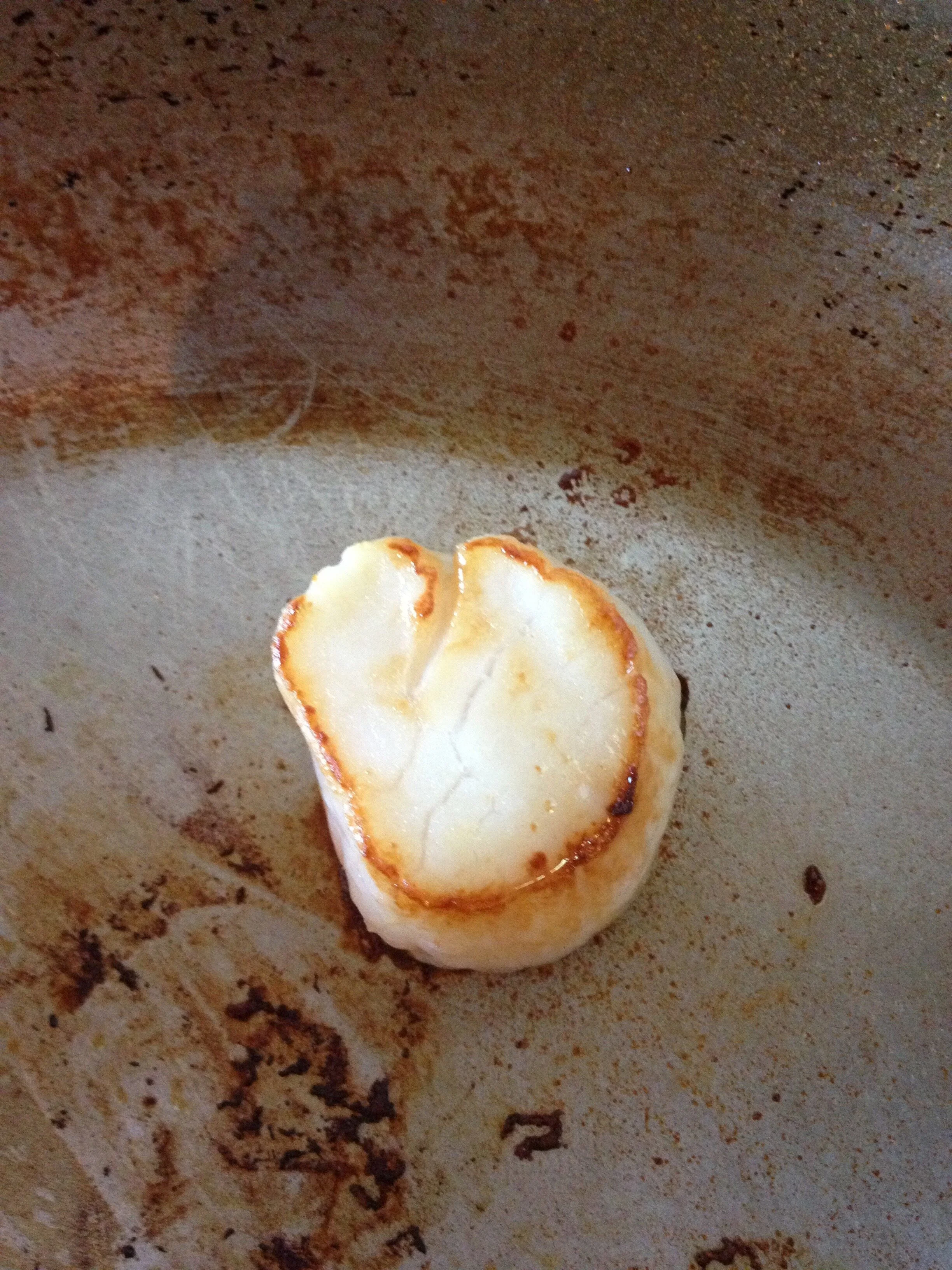 Connie Hunt Photography Love Seared