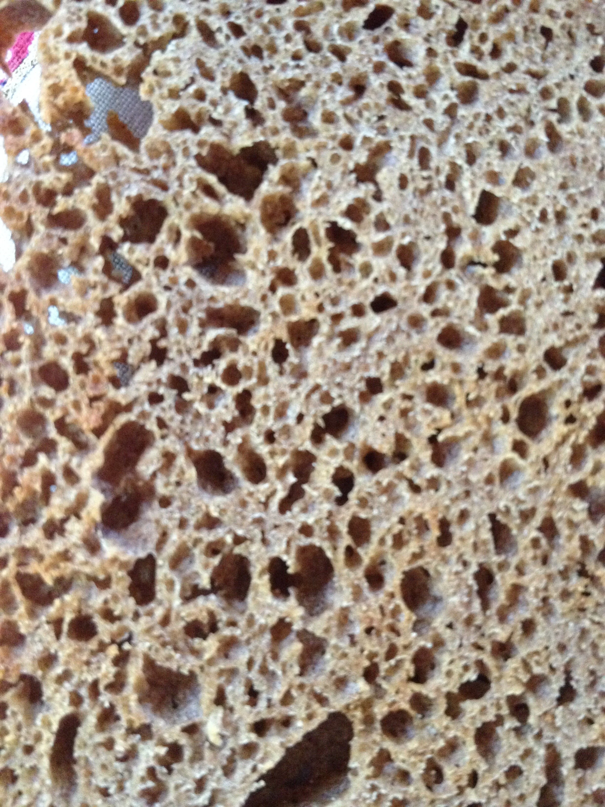 Connie Hunt Photography Love in Sprouted Sourdough