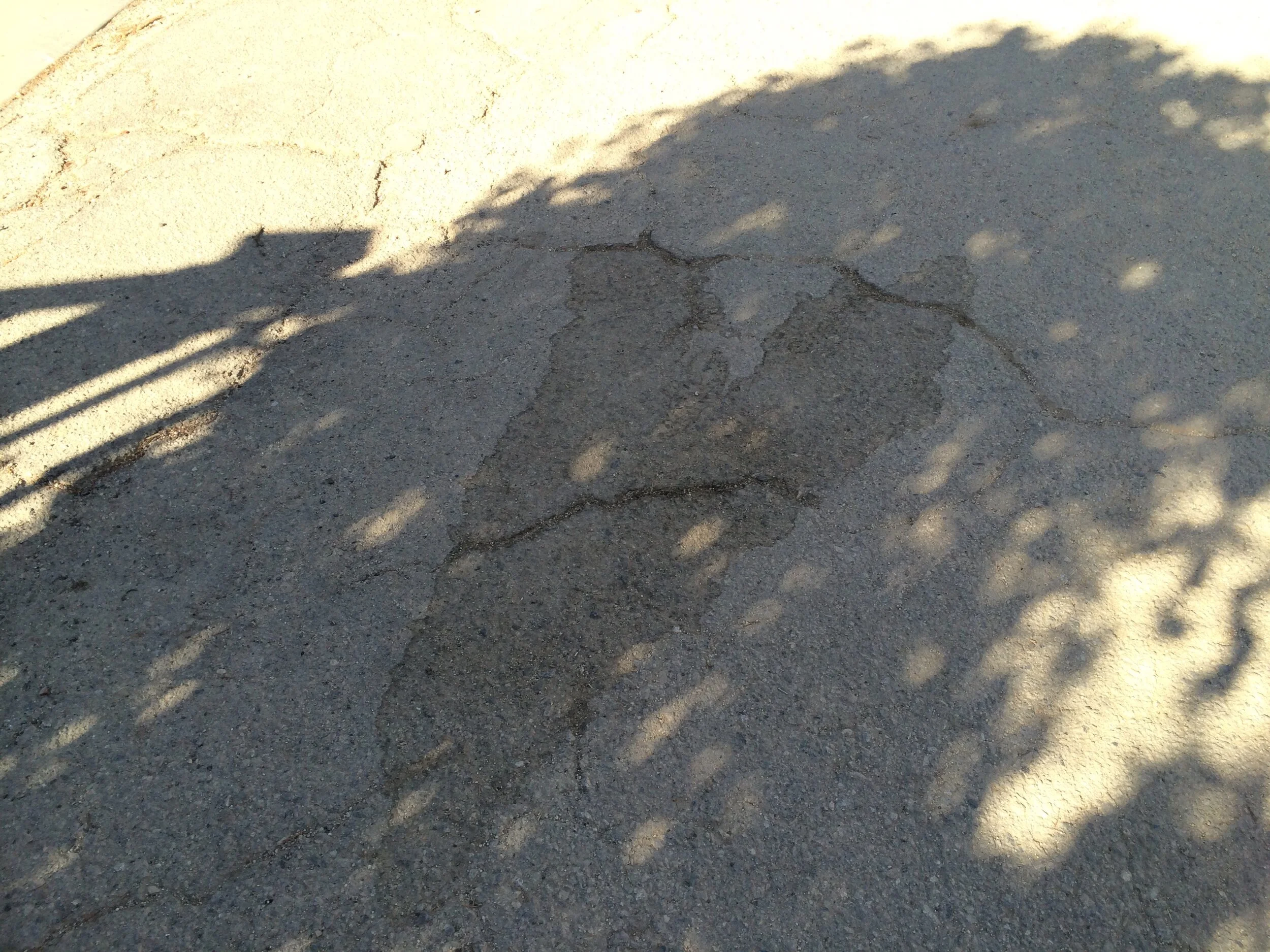 Connie Hunt Photography Love Shadow Stain
