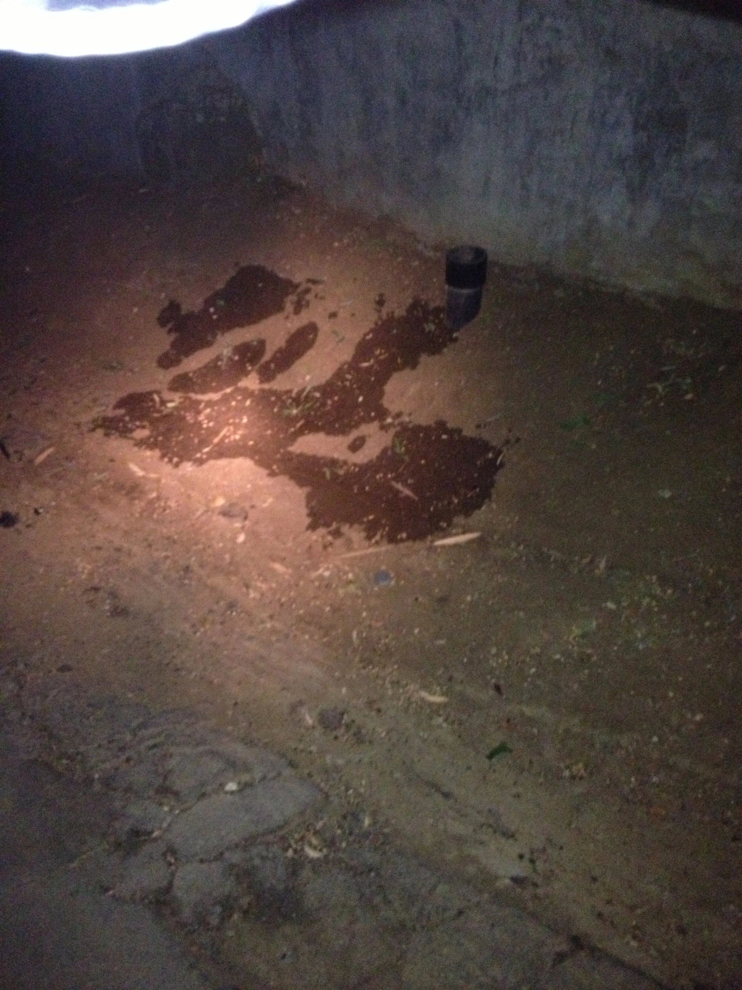 Connie Hunt Photography Love Sewer