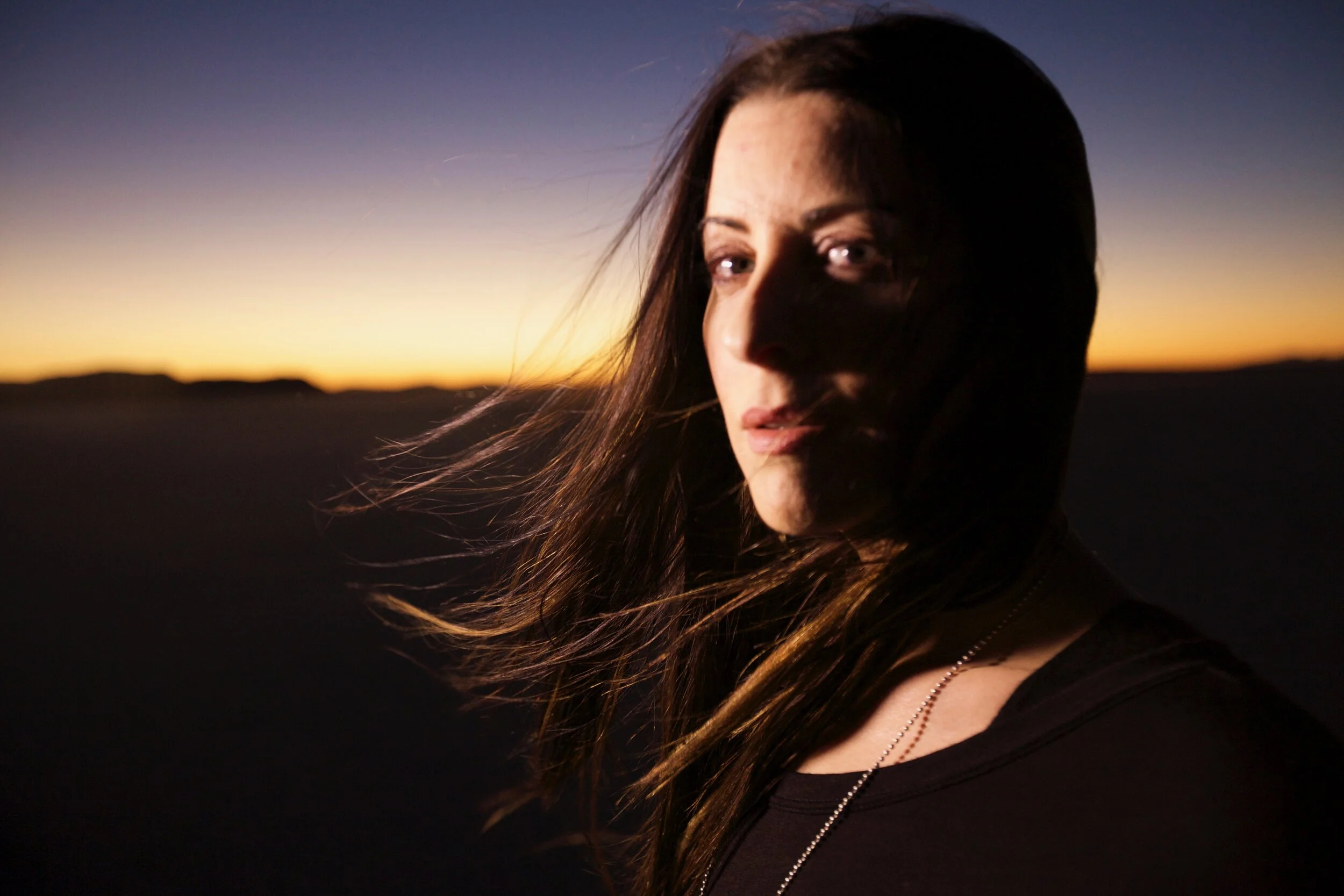 Connie Hunt "Desert Spy" by Jim Shea