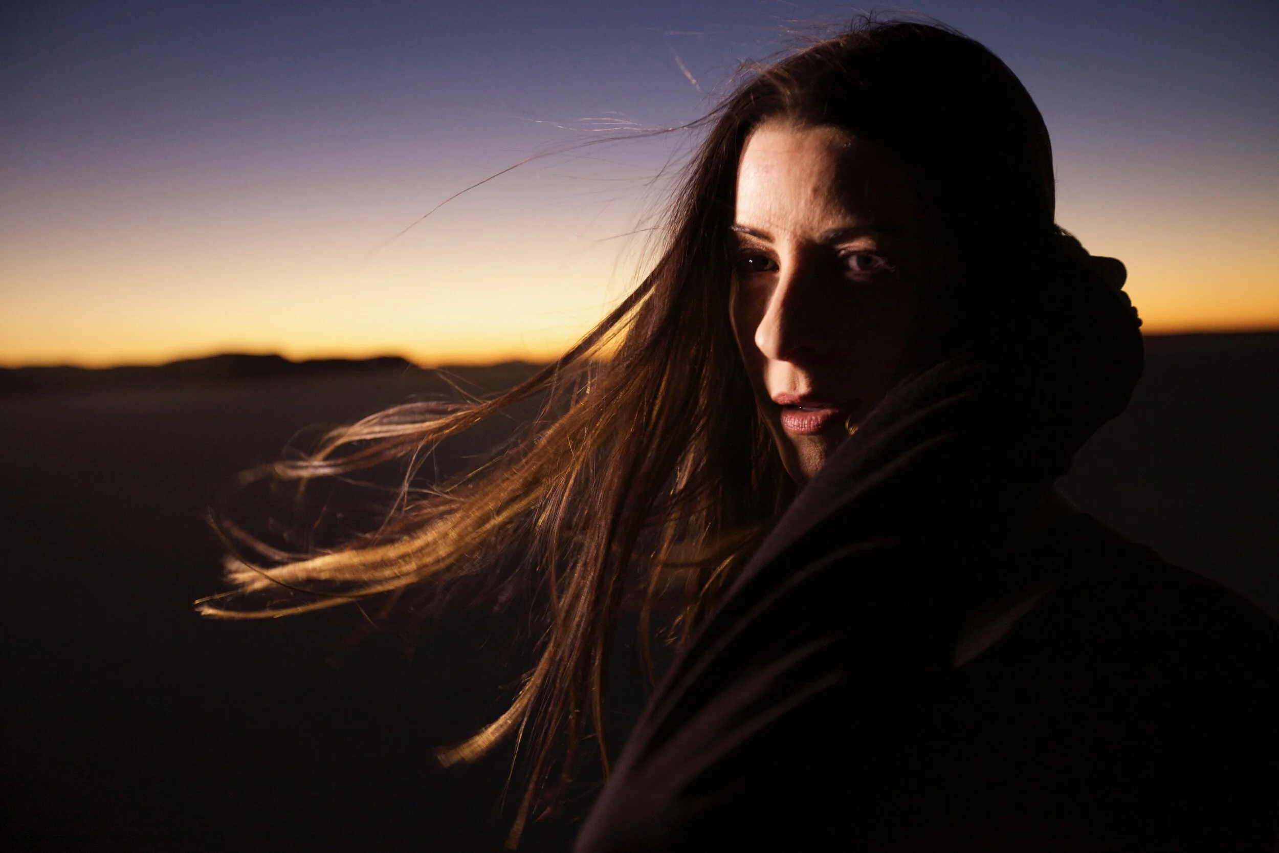 Connie Hunt Desert Sunset Closeup by Jim Shea