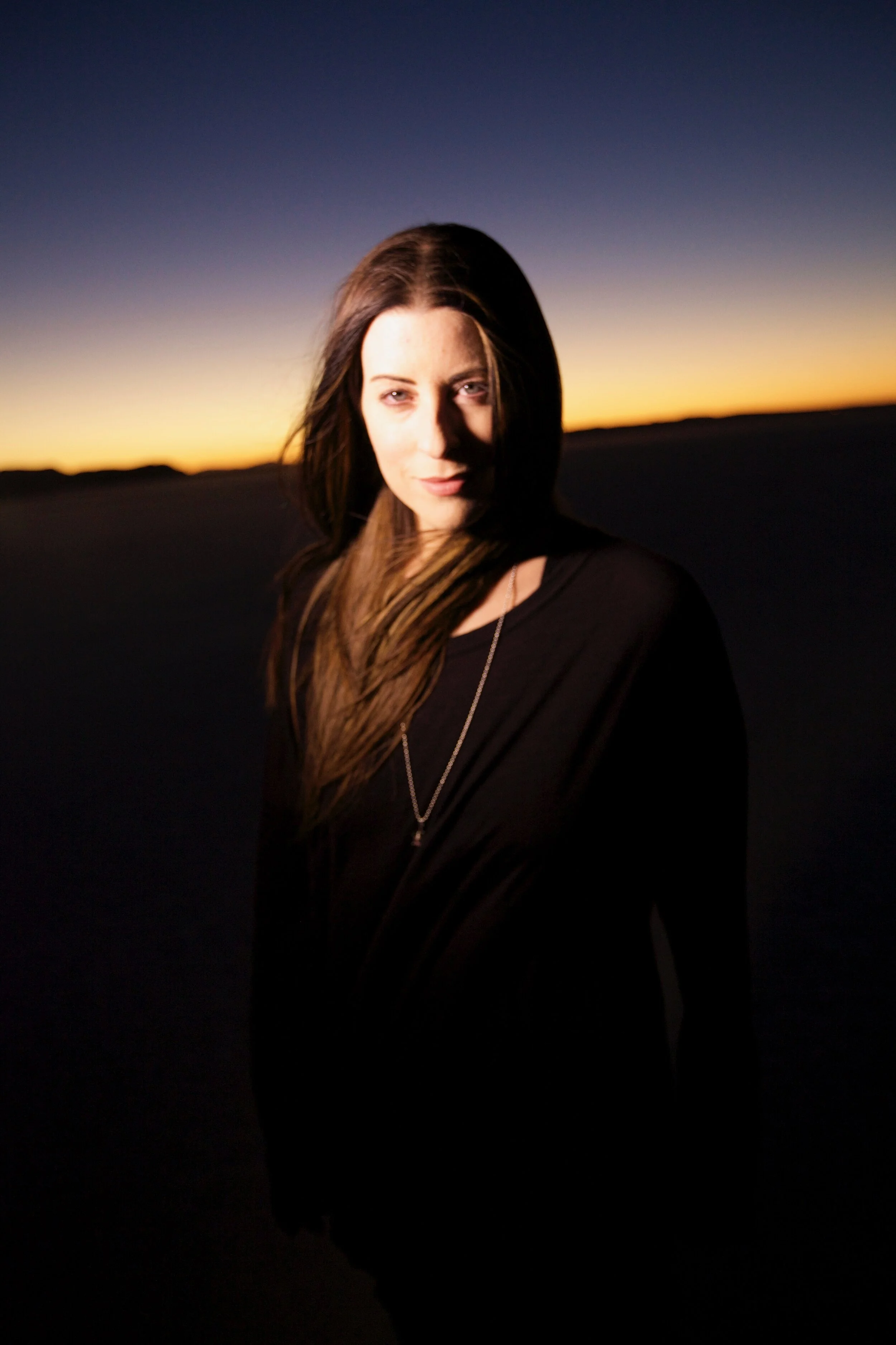 Connie Hunt Desert Silence by Jim Shea