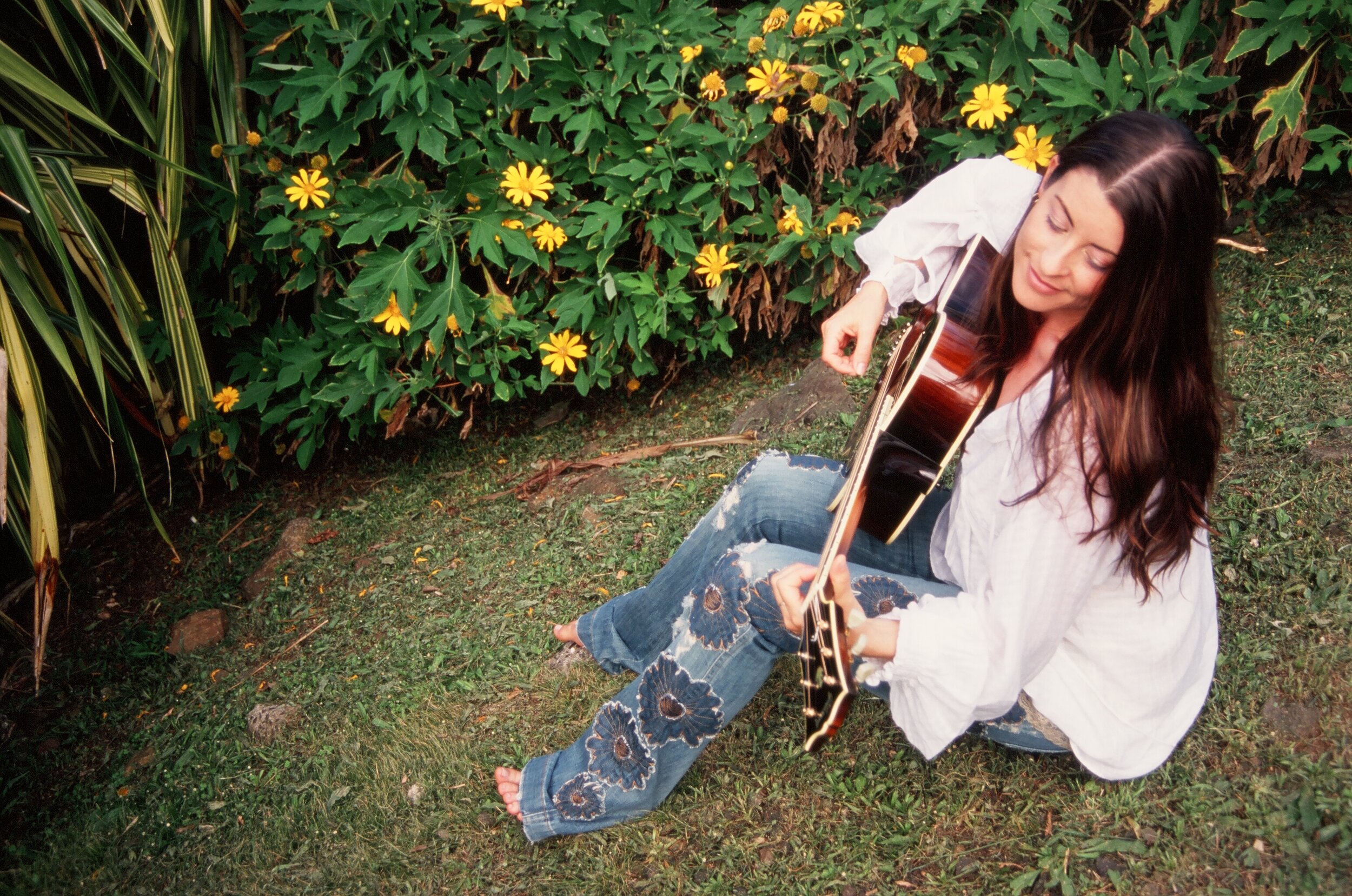 Connie Hunt Sunflowers and Velvet by Jim Shea
