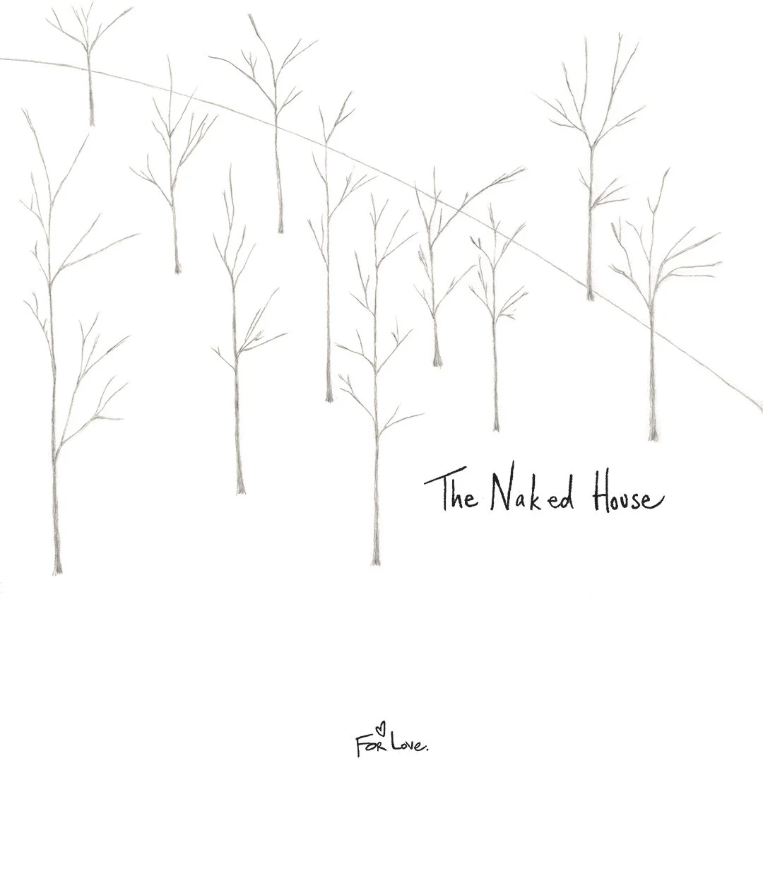 The Naked House (front cover) by Connie Hunt