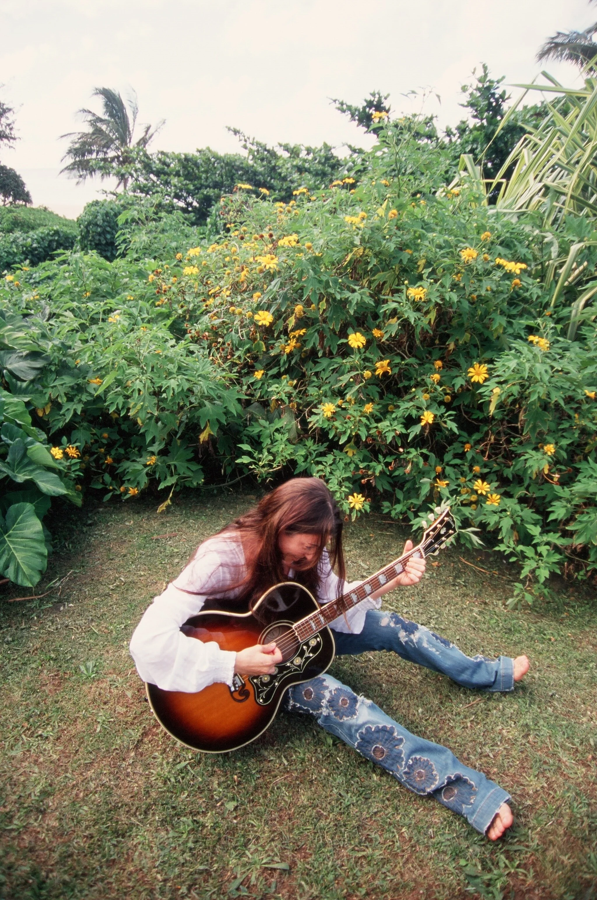 Connie Hunt Sunflower Strum 2 by Jim Shea