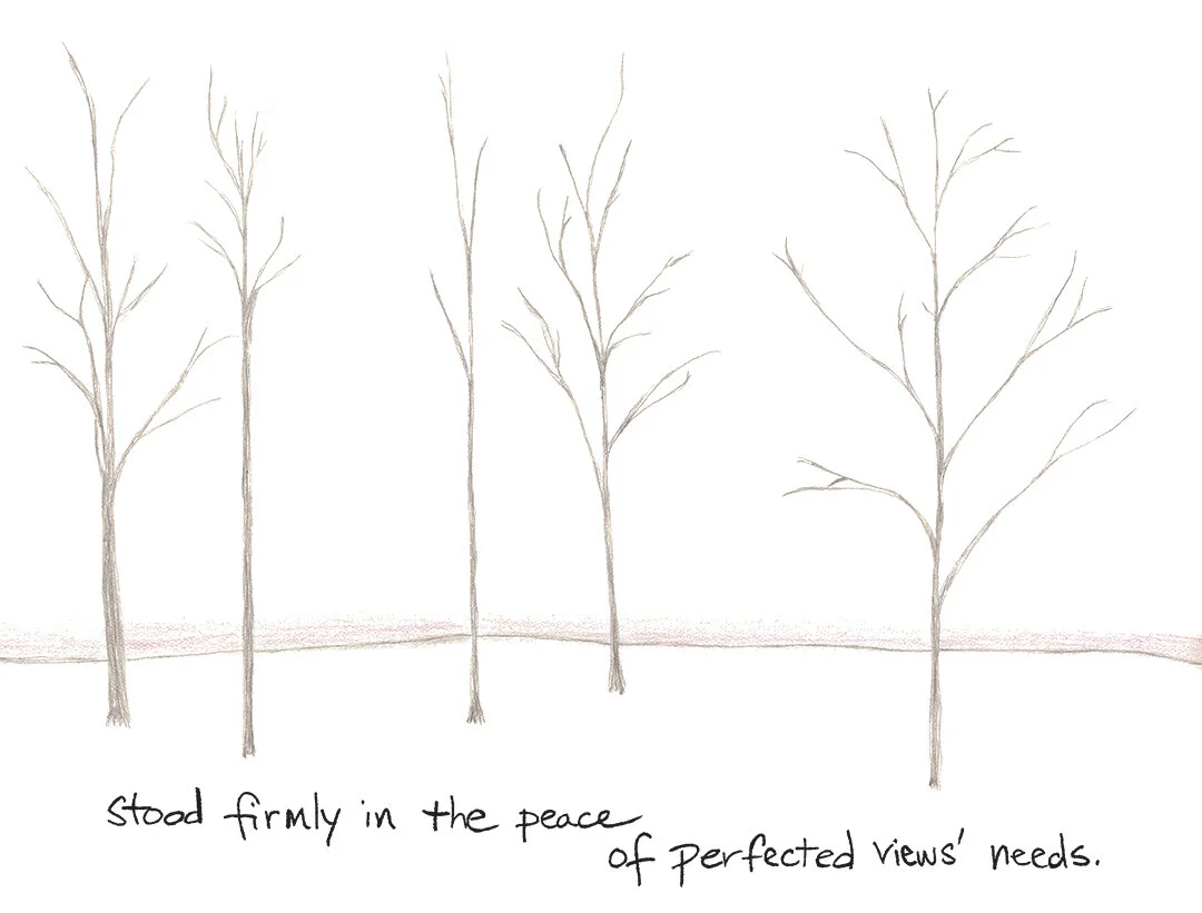 Peace of Perfected Views by Connie Hunt