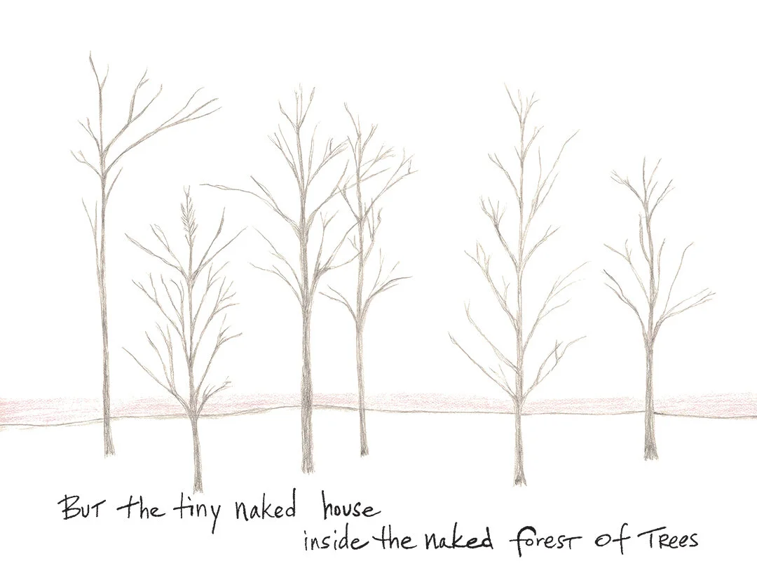 Naked House in Naked Forest by Connie Hunt