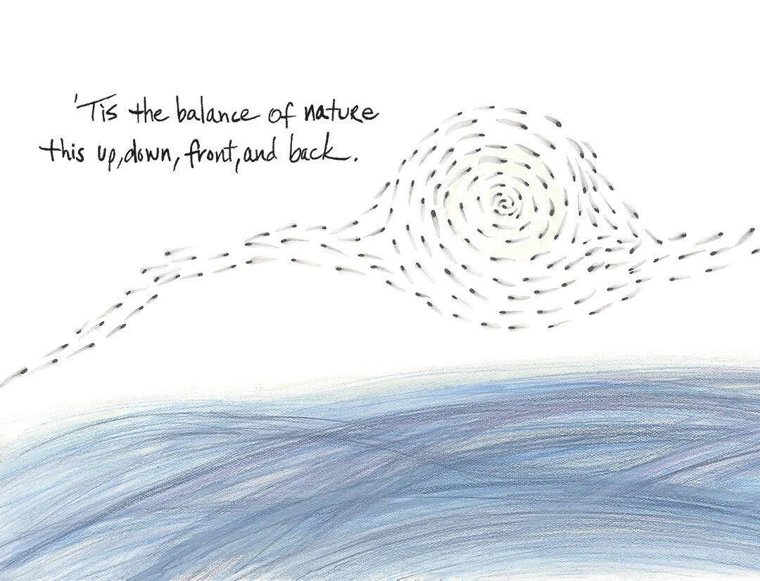Balance of Nature by Connie Hunt