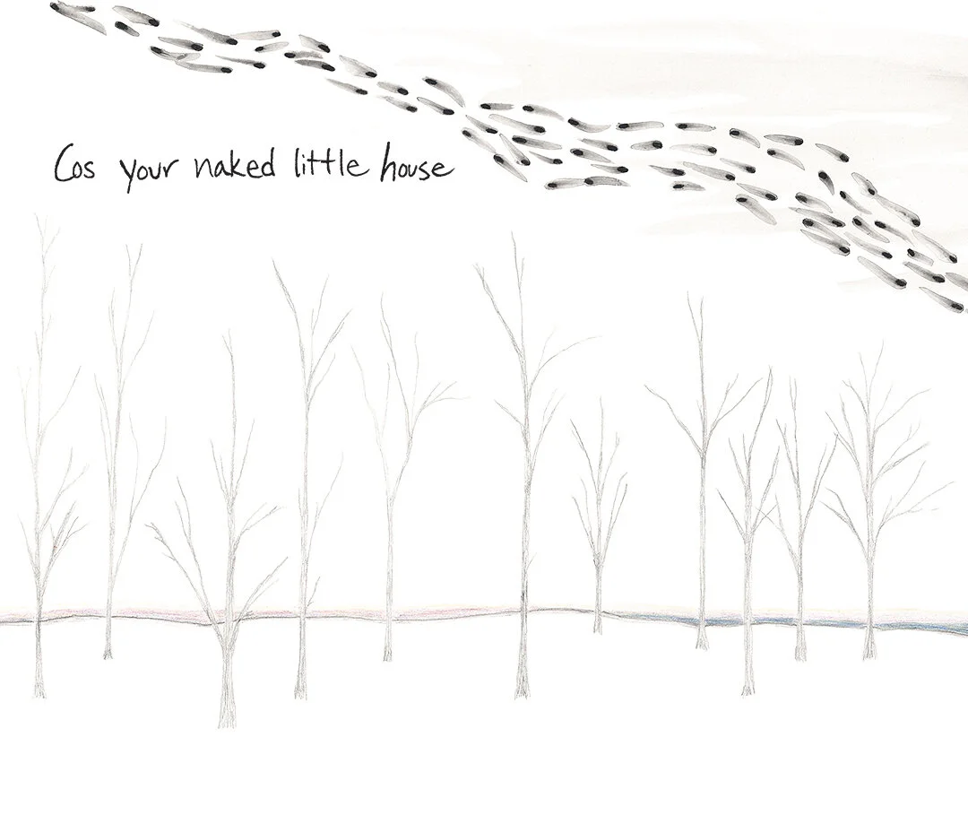 Your House by Connie Hunt