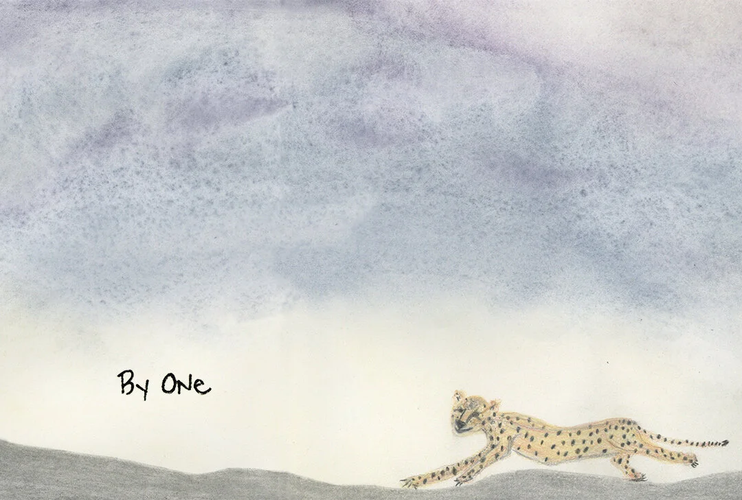 One Cheetah by Connie Hunt