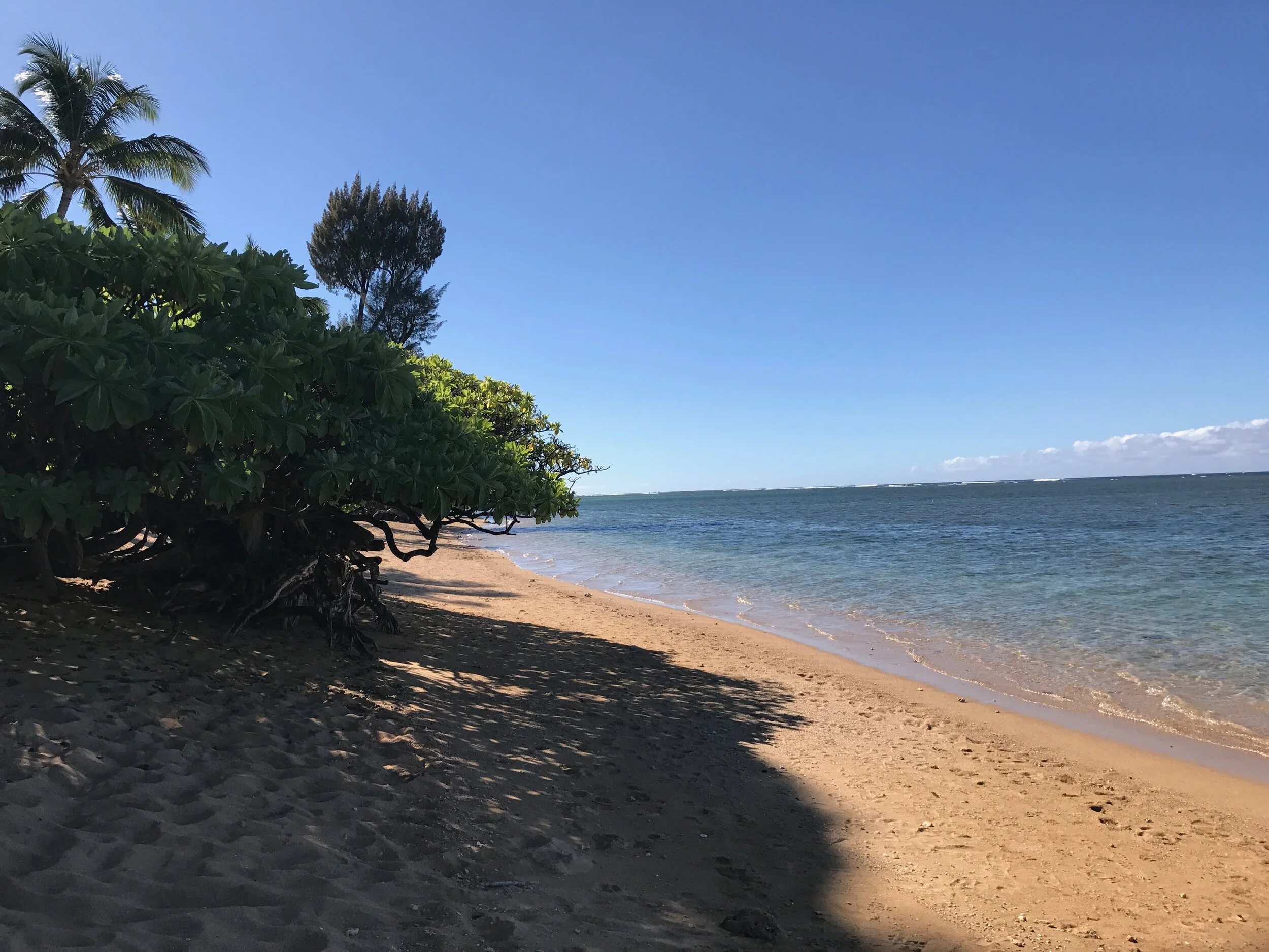 Connie Hunt Photography Anini Beach West (2017)